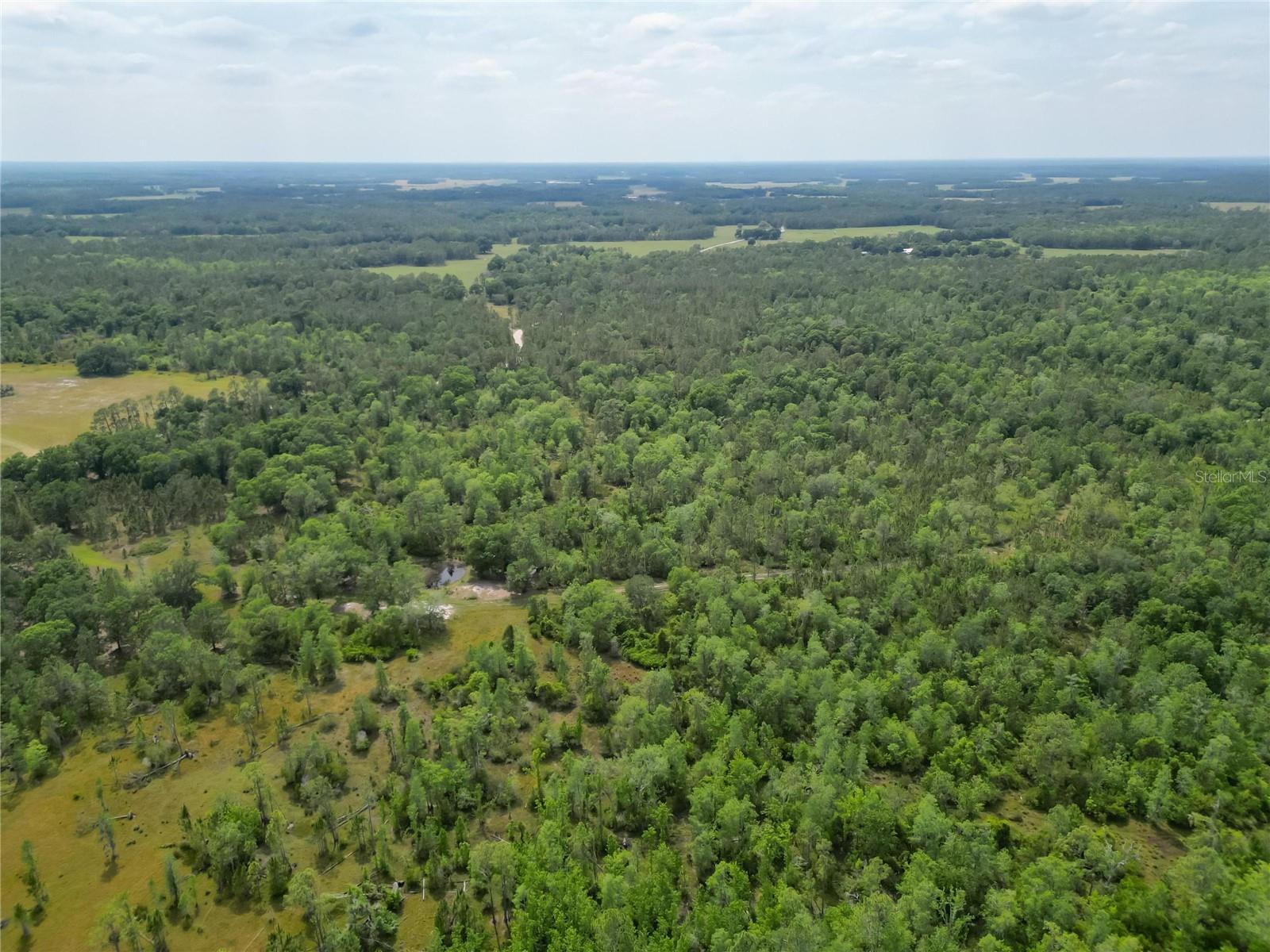 VAN FLEET RD, POLK CITY, FL, 33868