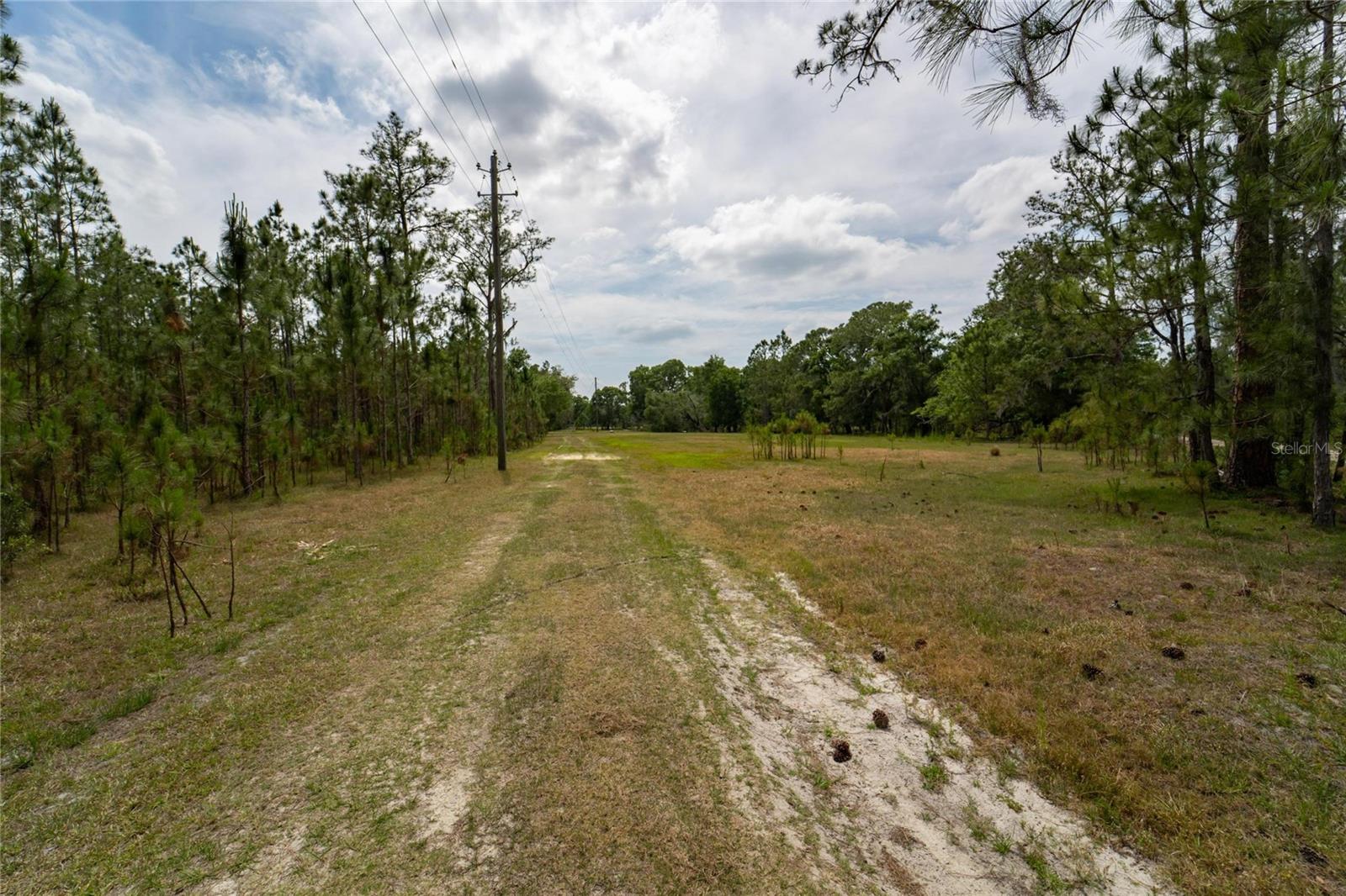 VAN FLEET RD, POLK CITY, FL, 33868