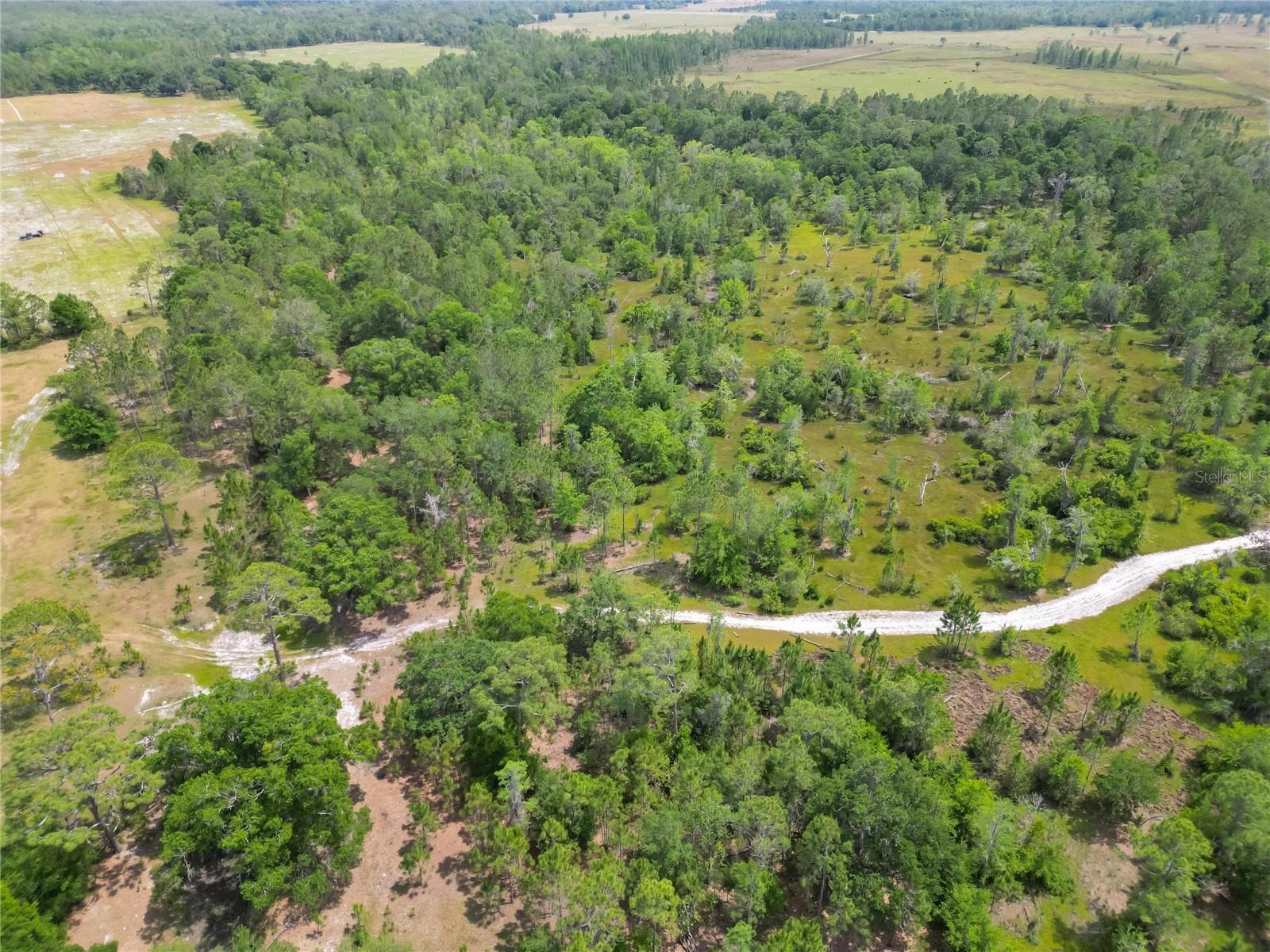 VAN FLEET RD, POLK CITY, FL, 33868