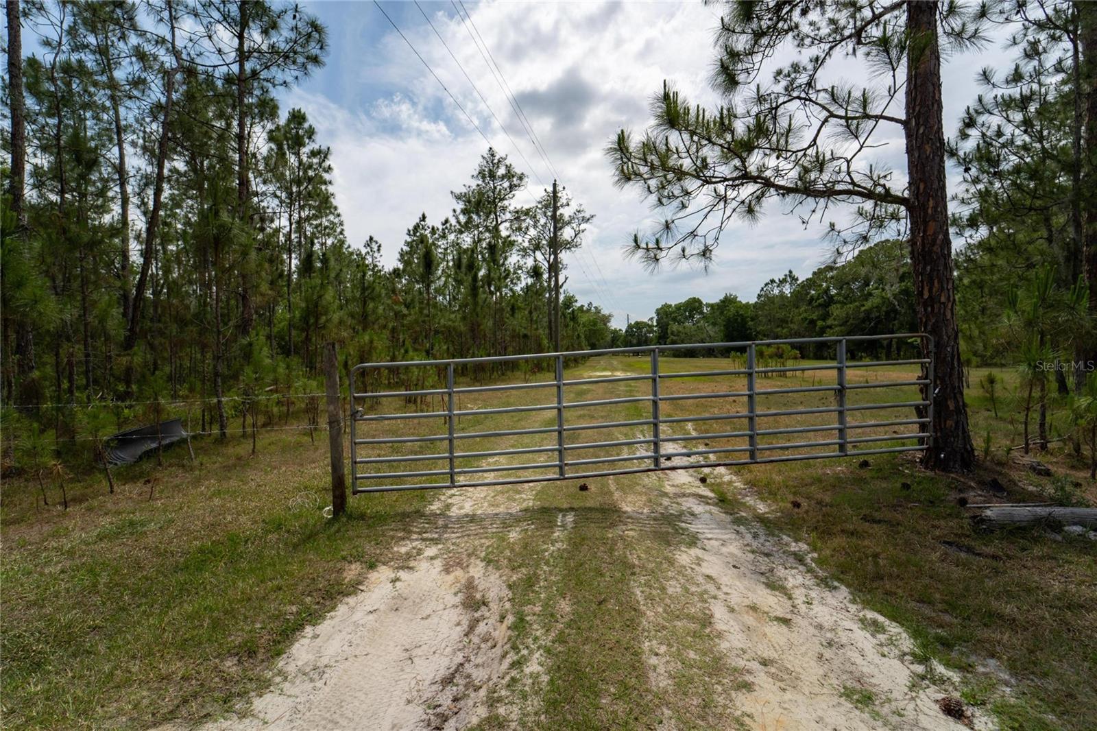 VAN FLEET RD, POLK CITY, FL, 33868
