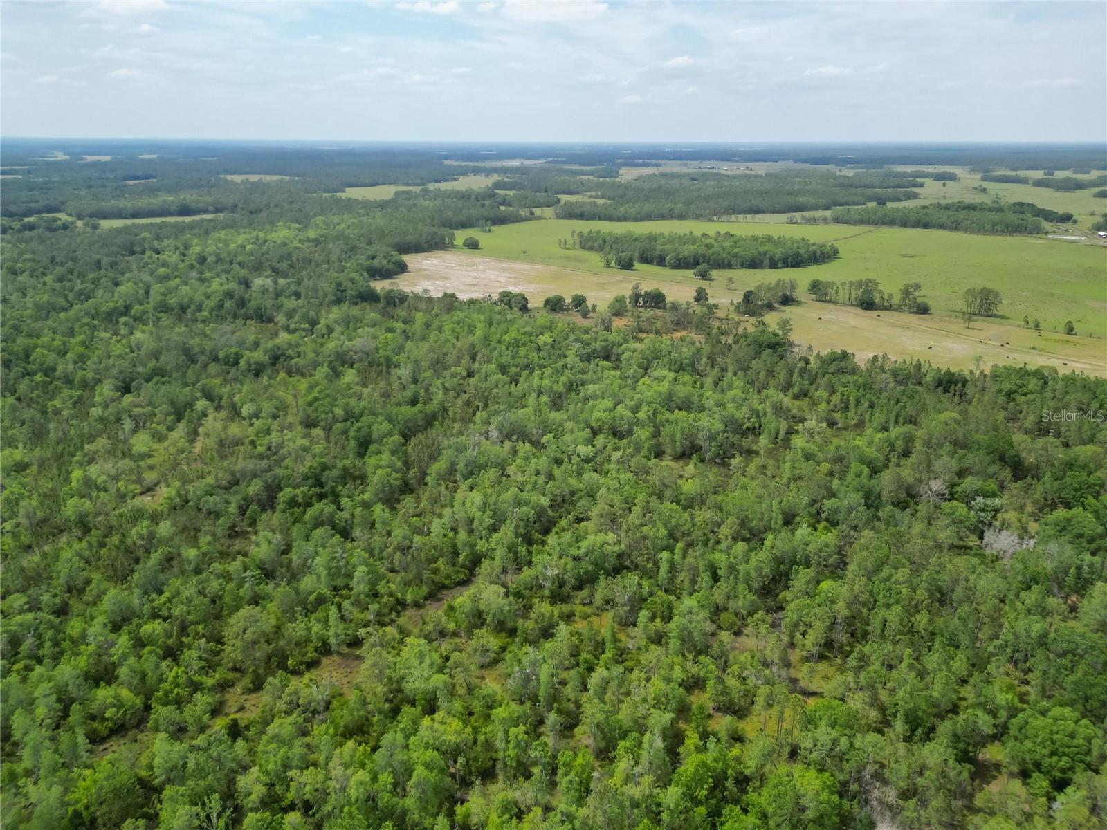 VAN FLEET RD, POLK CITY, FL, 33868