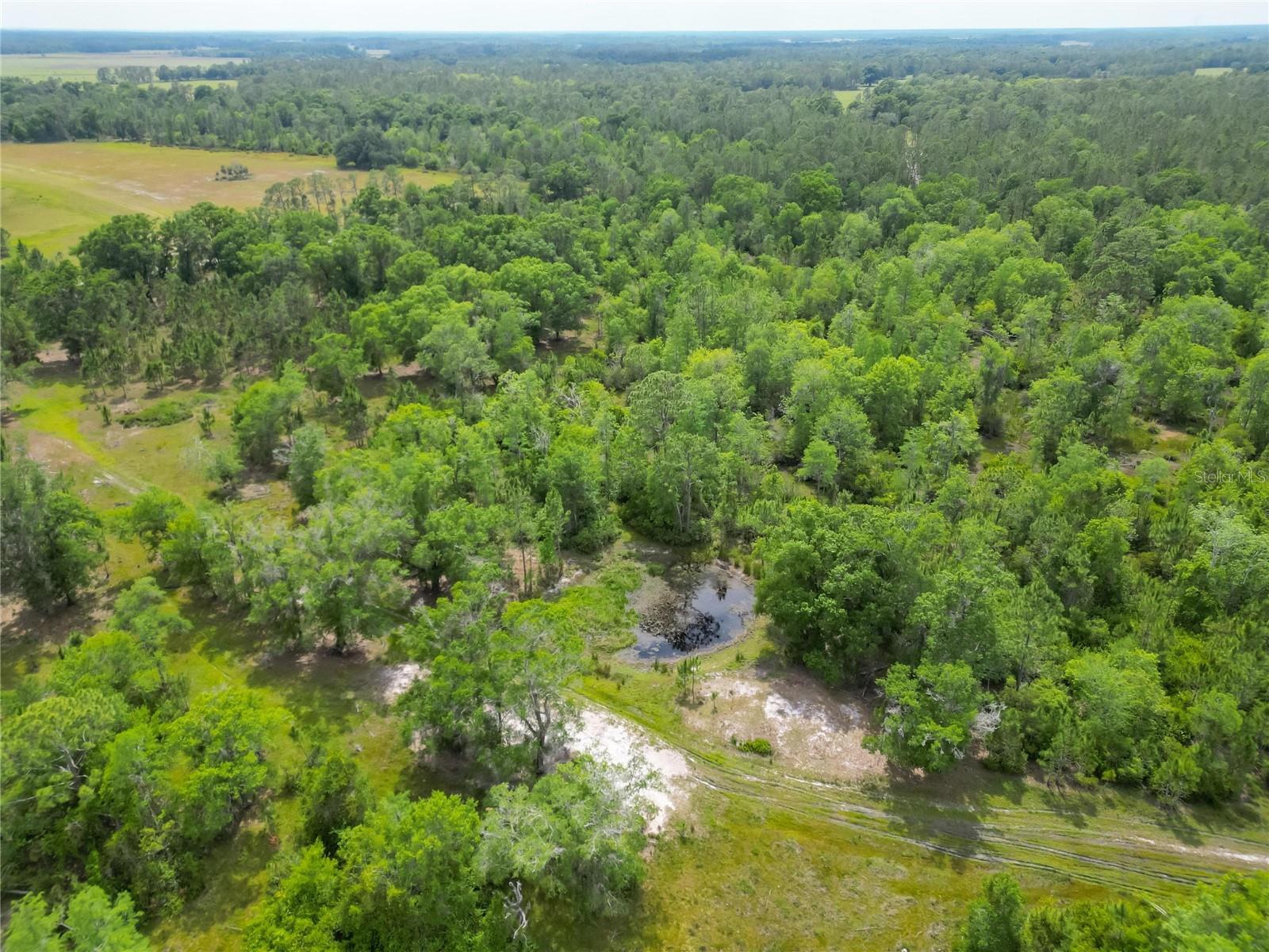 VAN FLEET RD, POLK CITY, FL, 33868