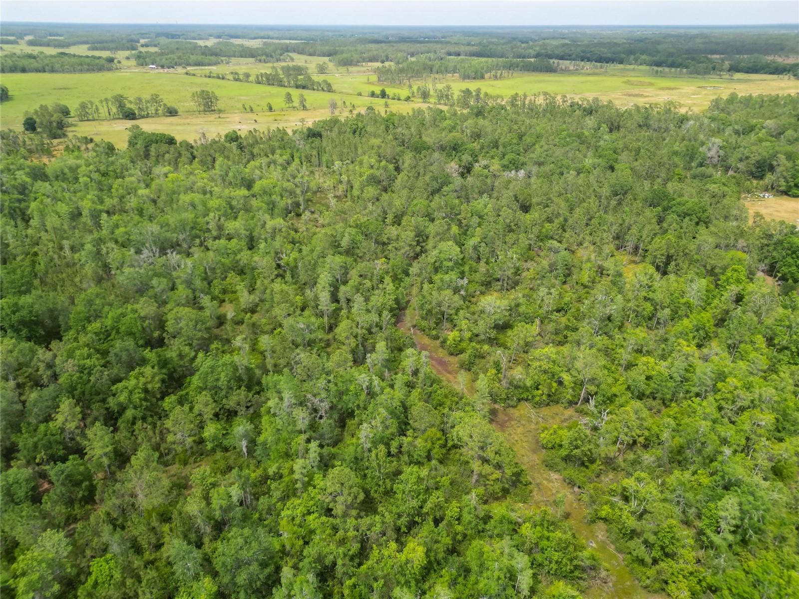 VAN FLEET RD, POLK CITY, FL, 33868