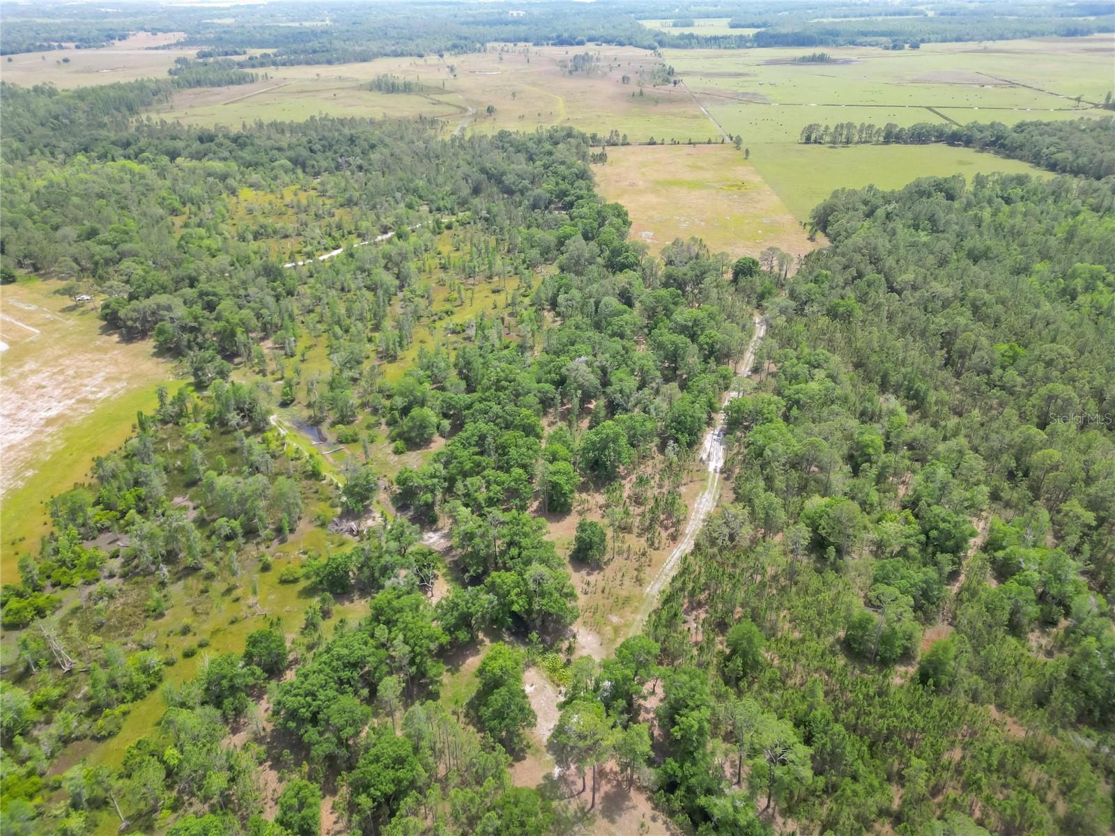 VAN FLEET RD, POLK CITY, FL, 33868