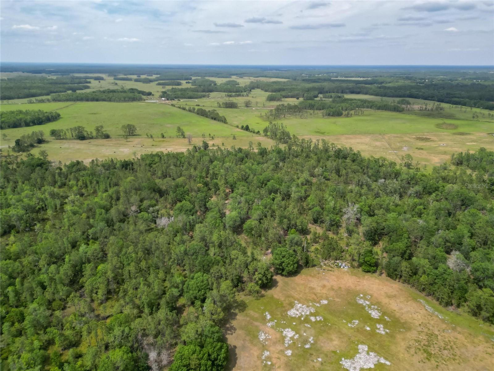 VAN FLEET RD, POLK CITY, FL, 33868