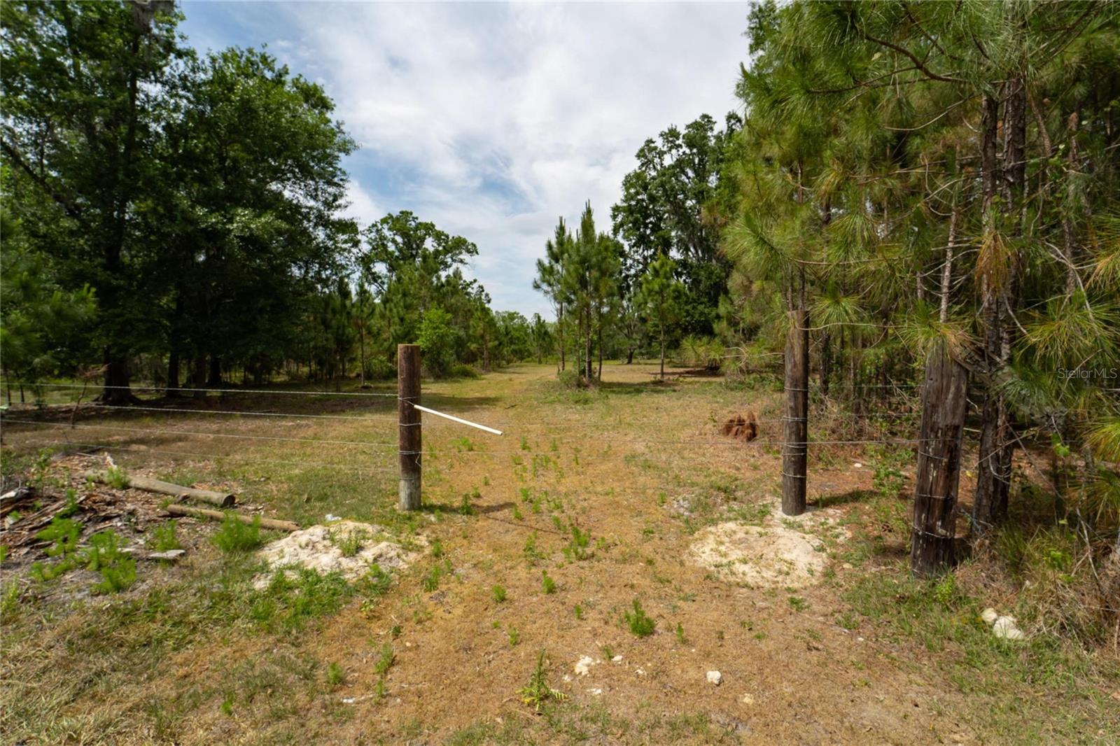 VAN FLEET RD, POLK CITY, FL, 33868