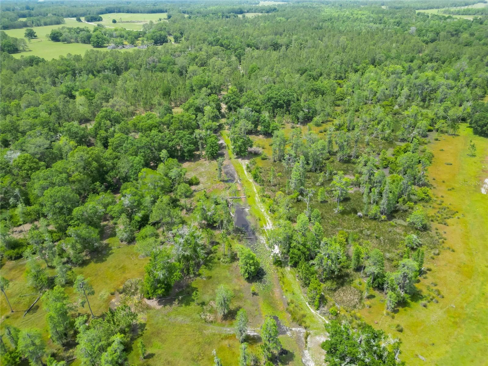 VAN FLEET RD, POLK CITY, FL, 33868