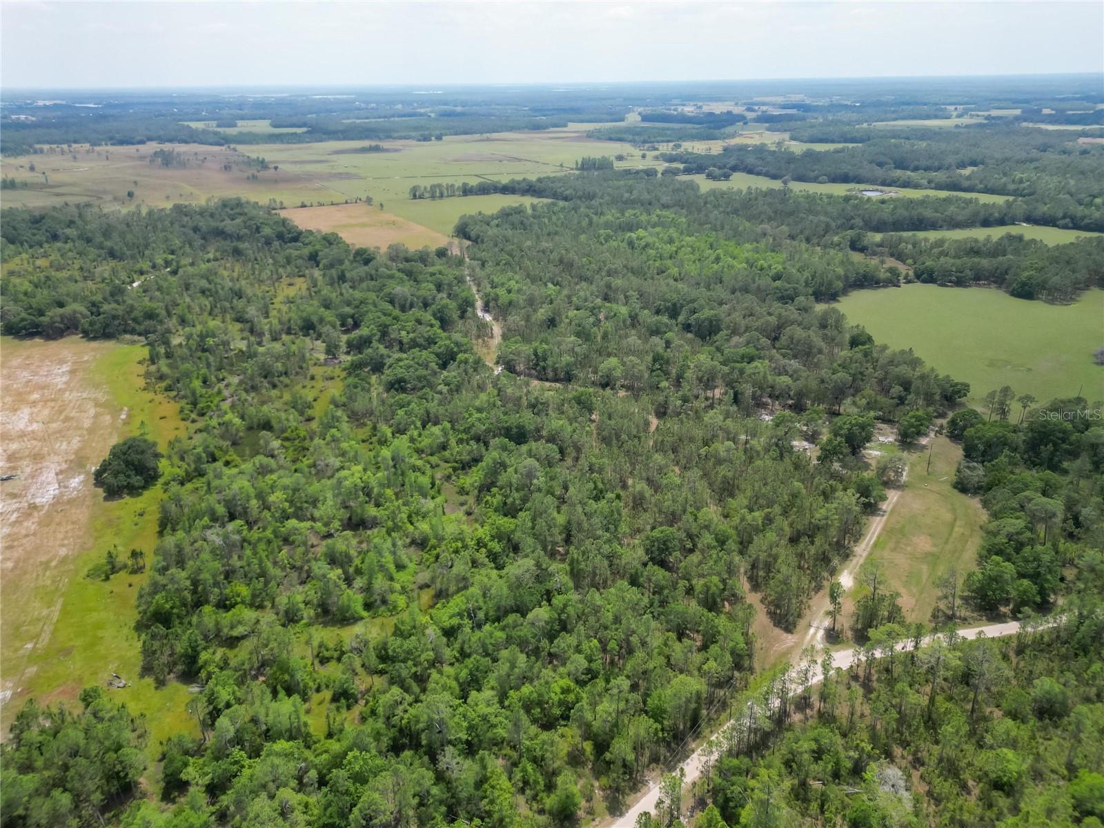 VAN FLEET RD, POLK CITY, FL, 33868