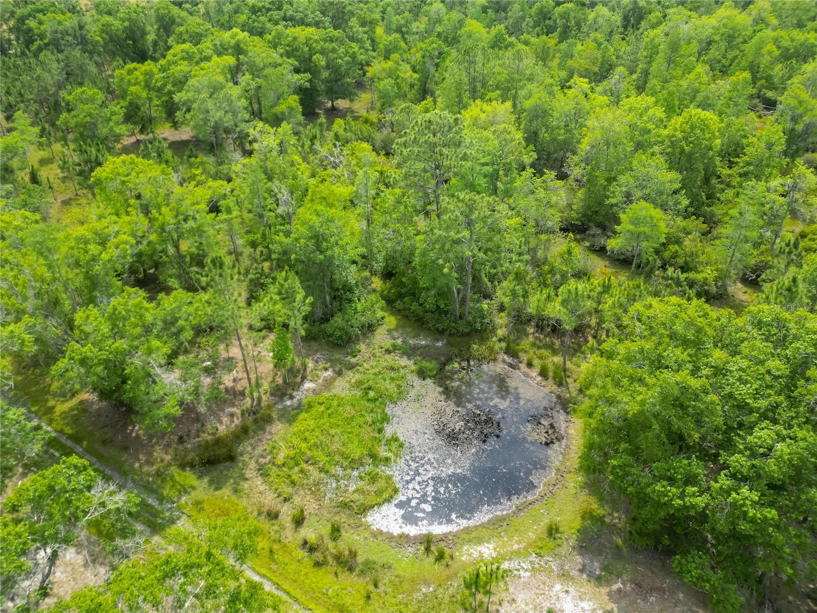 VAN FLEET RD, POLK CITY, FL, 33868