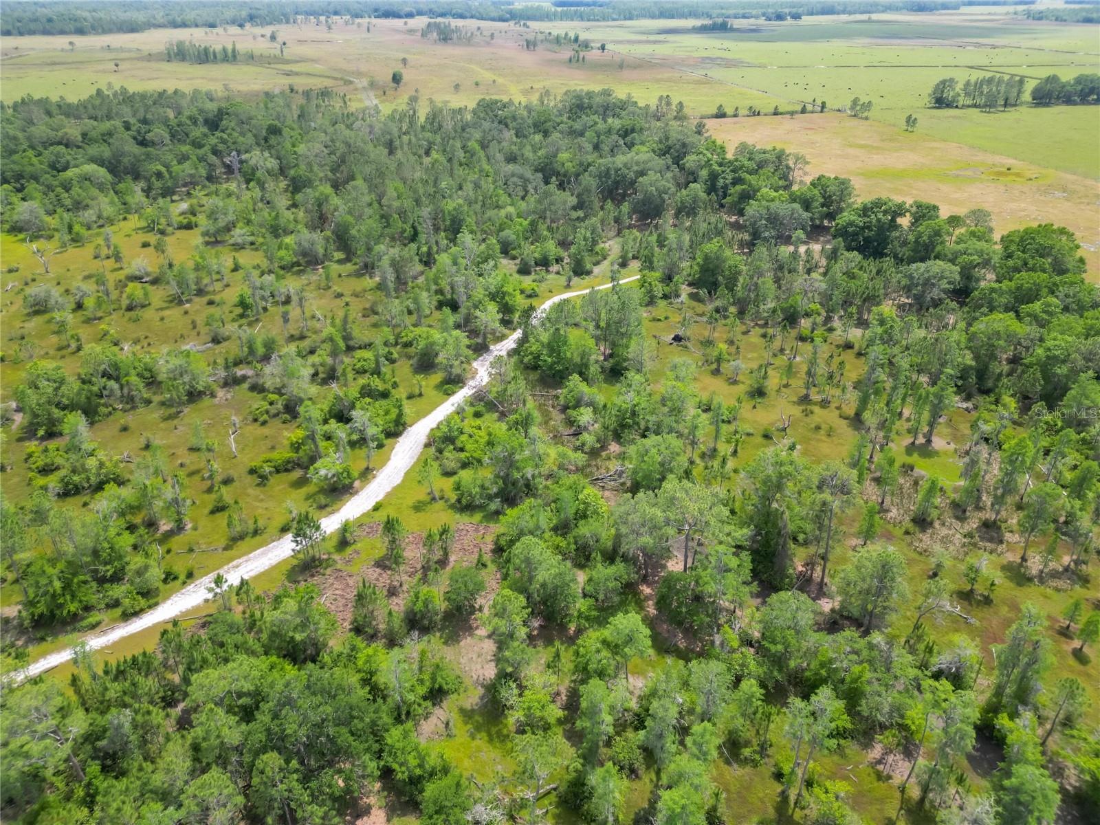 VAN FLEET RD, POLK CITY, FL, 33868