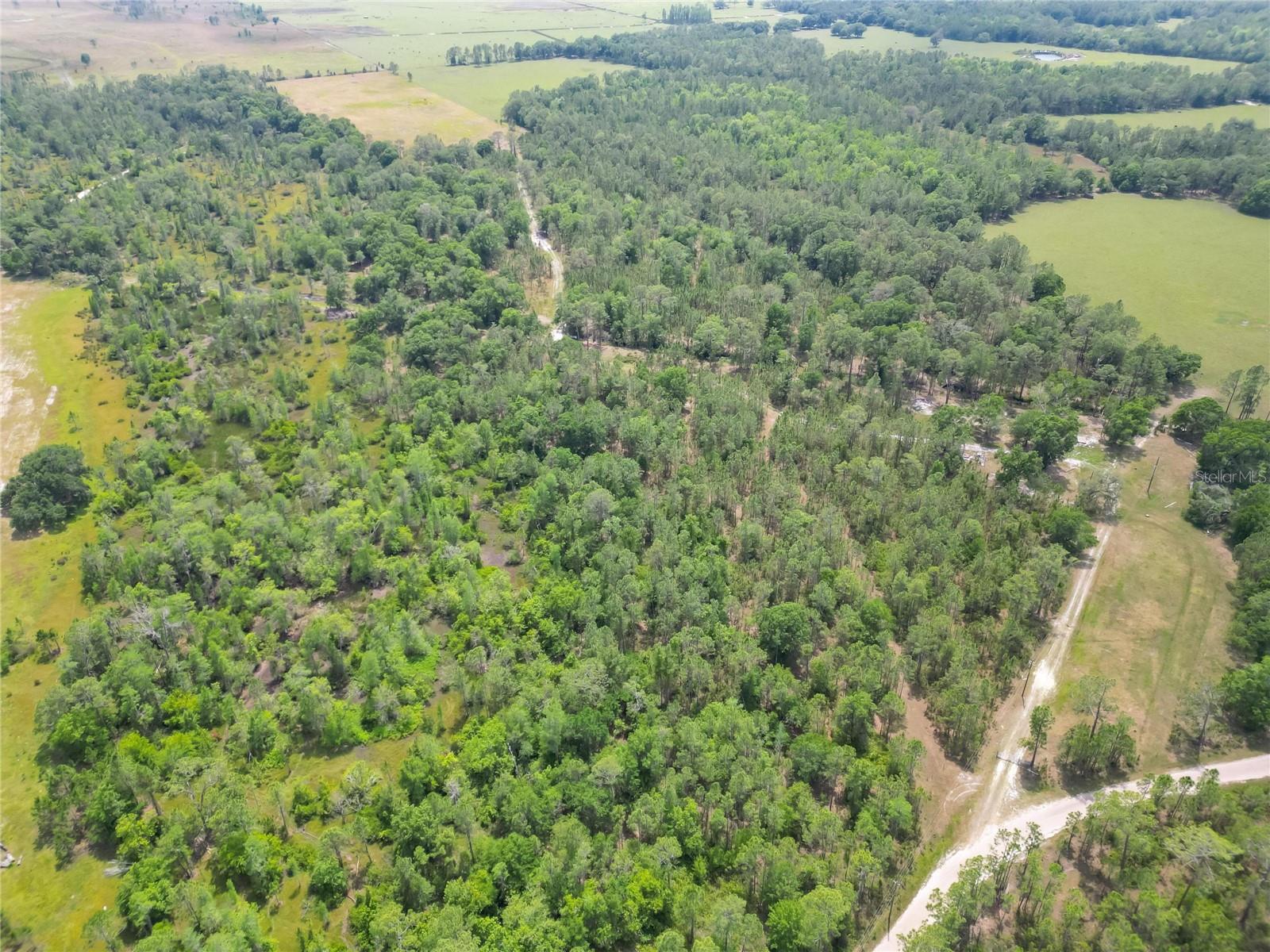 VAN FLEET RD, POLK CITY, FL, 33868