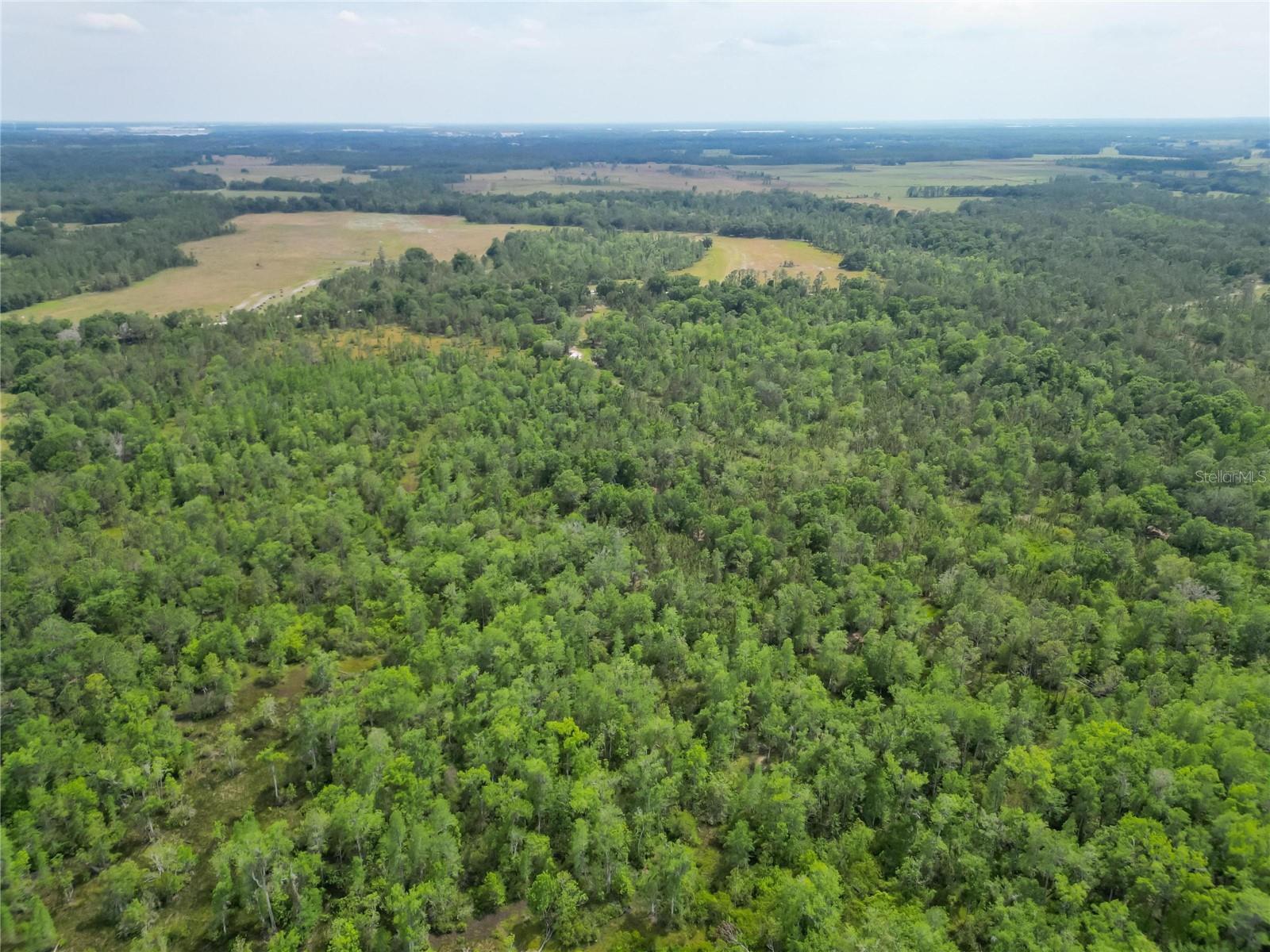 VAN FLEET RD, POLK CITY, FL, 33868