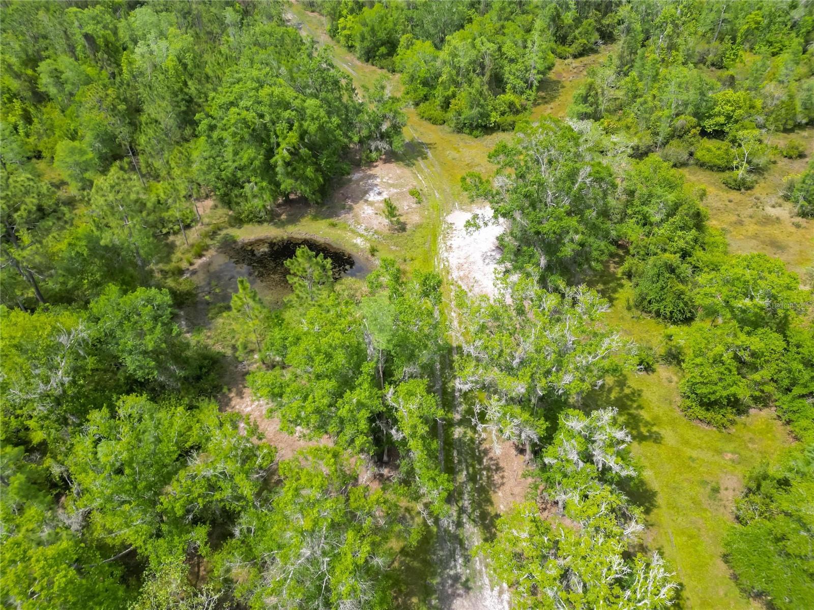 VAN FLEET RD, POLK CITY, FL, 33868