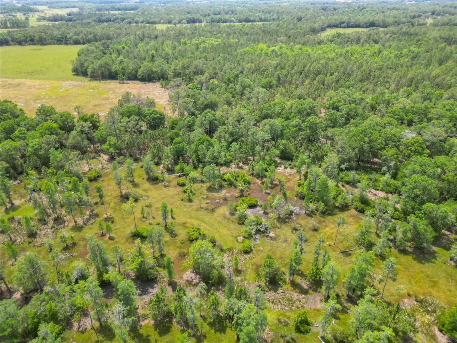 VAN FLEET RD, POLK CITY, FL, 33868