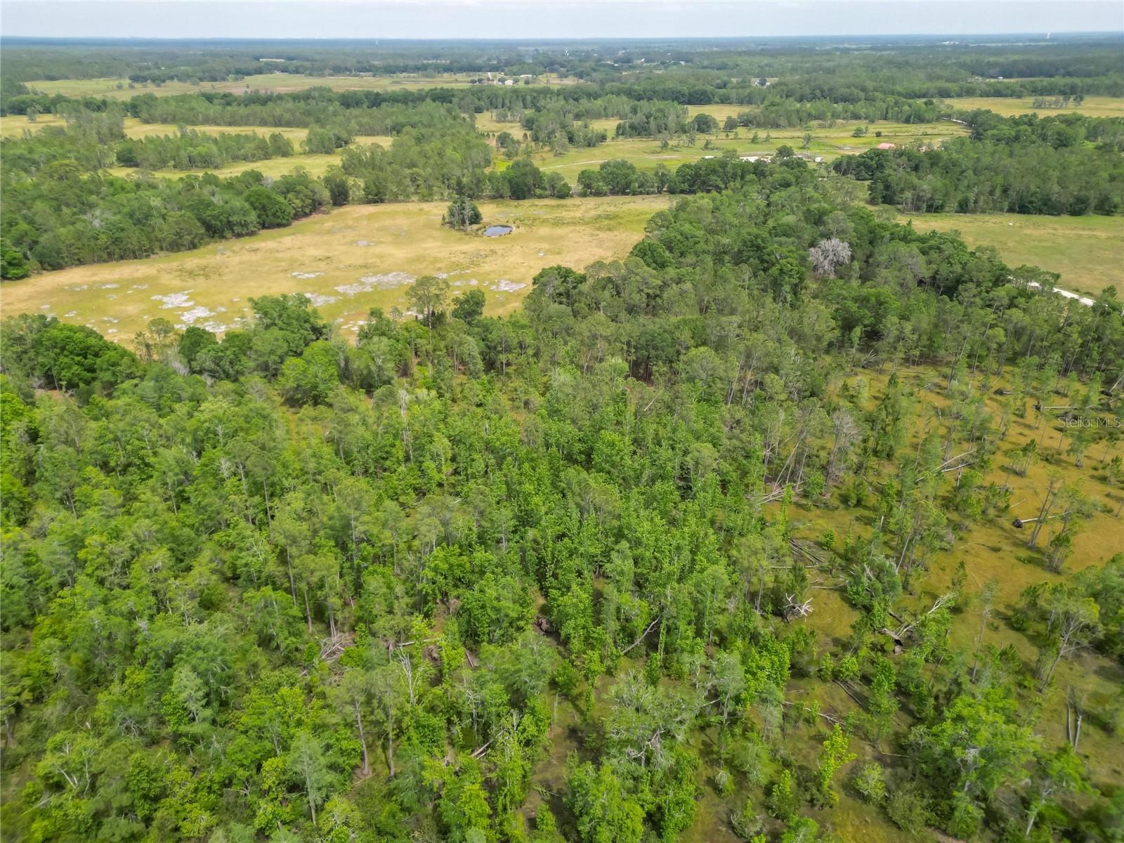 VAN FLEET RD, POLK CITY, FL, 33868