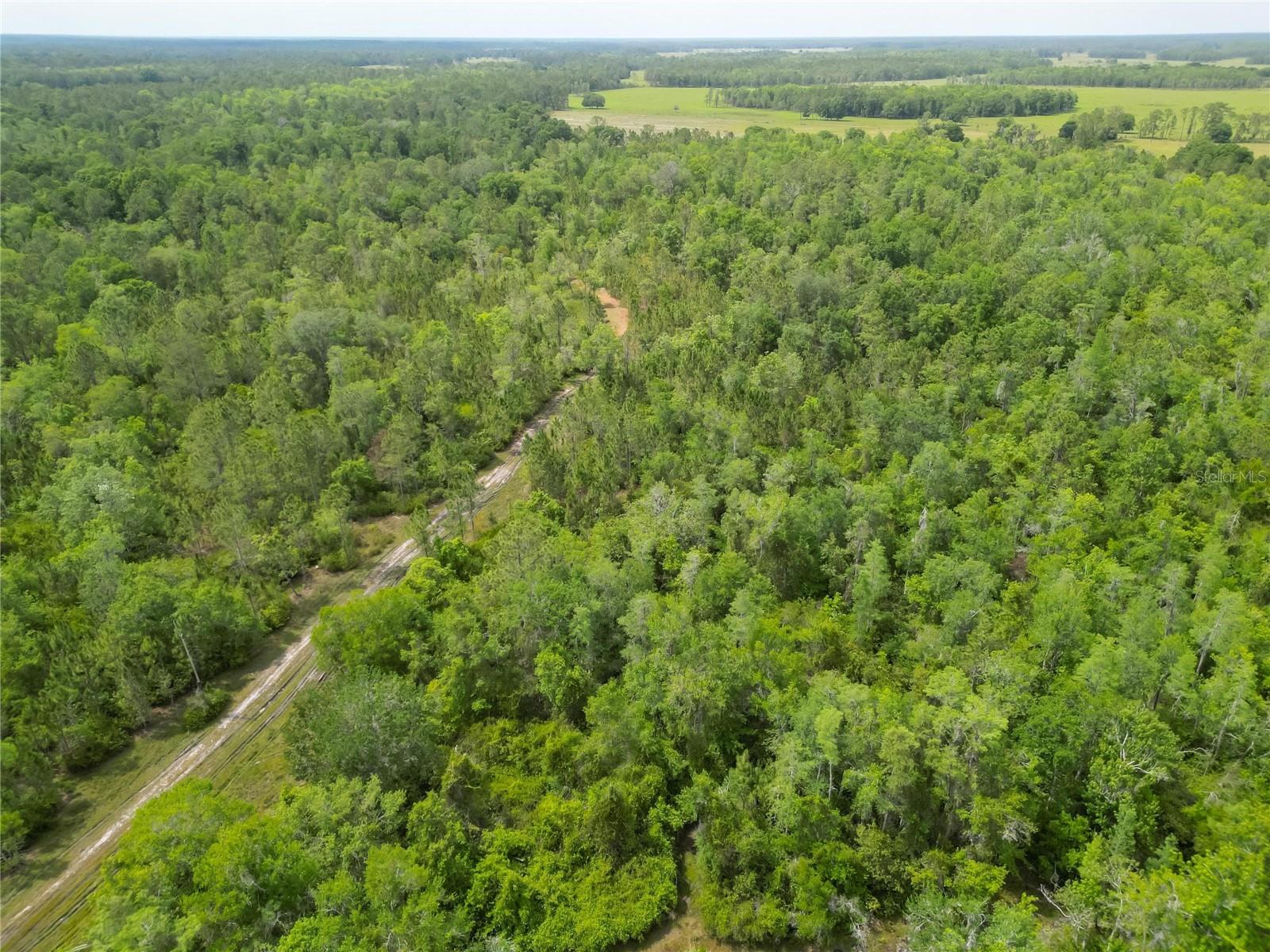 VAN FLEET RD, POLK CITY, FL, 33868