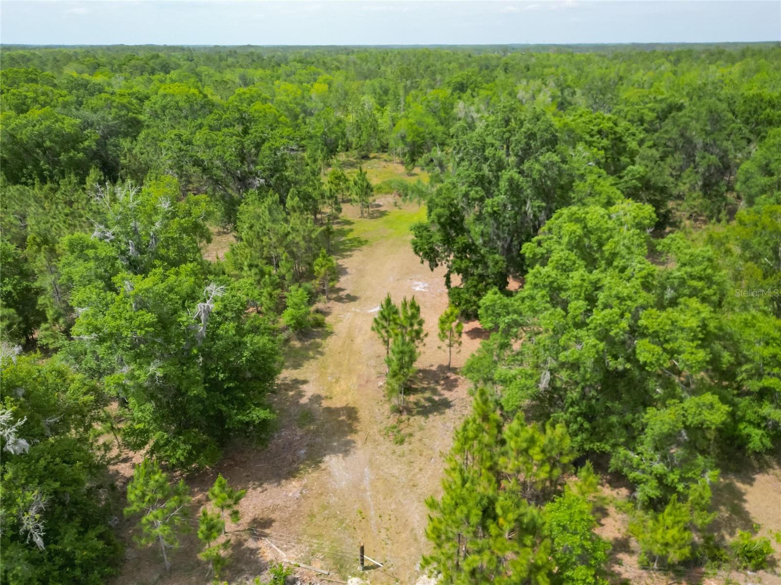 VAN FLEET RD, POLK CITY, FL, 33868