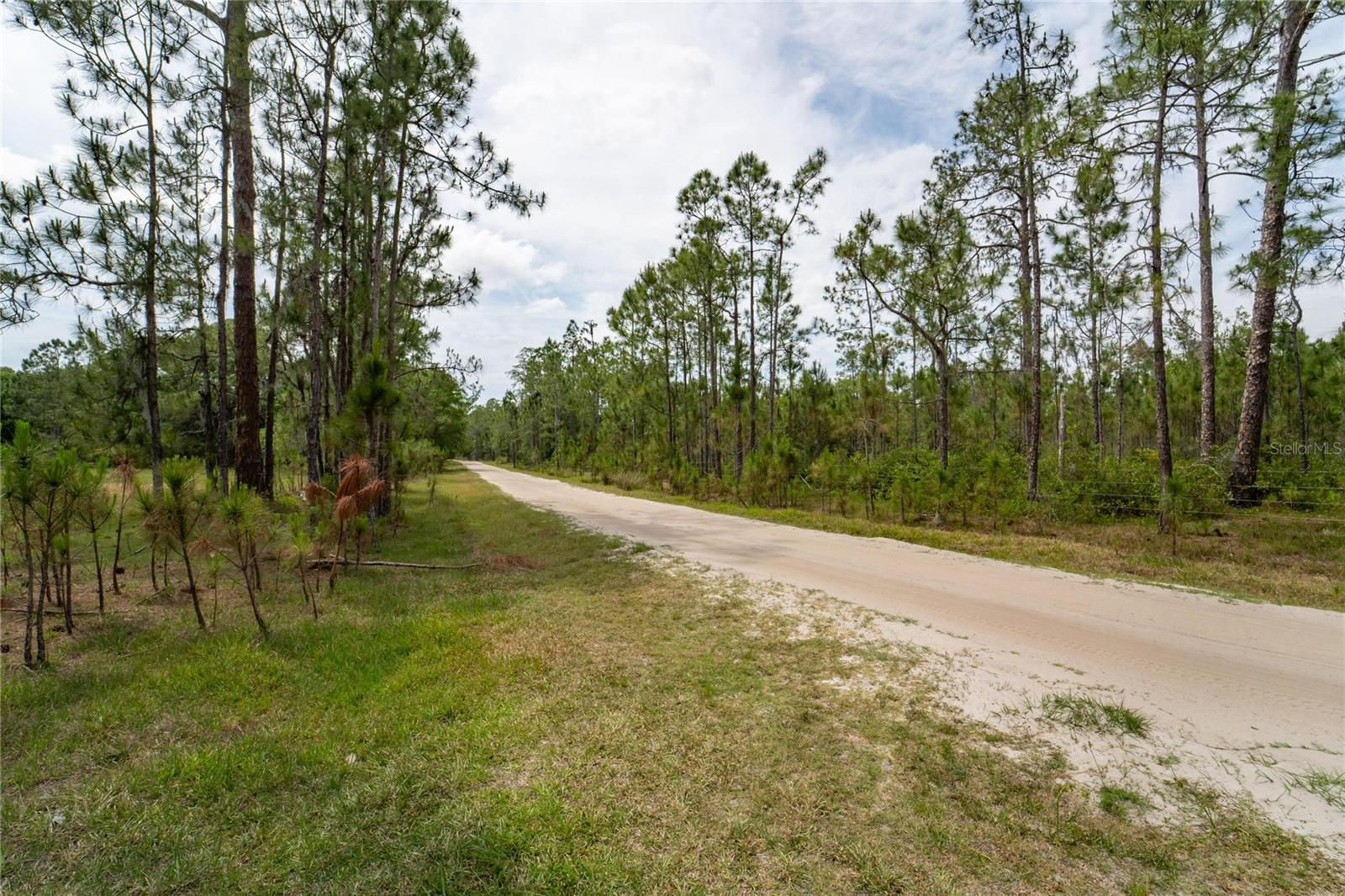 VAN FLEET RD, POLK CITY, FL, 33868