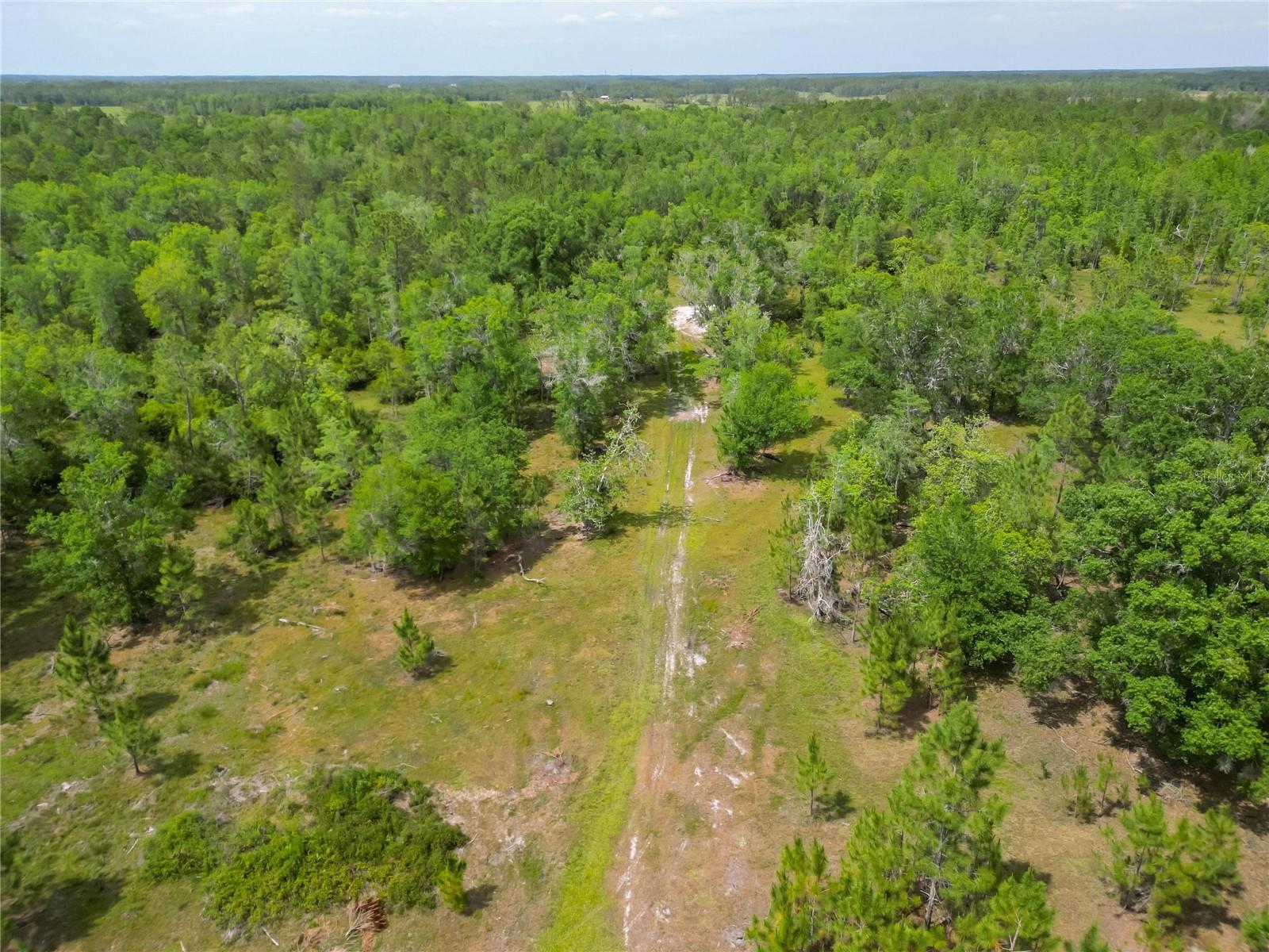 VAN FLEET RD, POLK CITY, FL, 33868