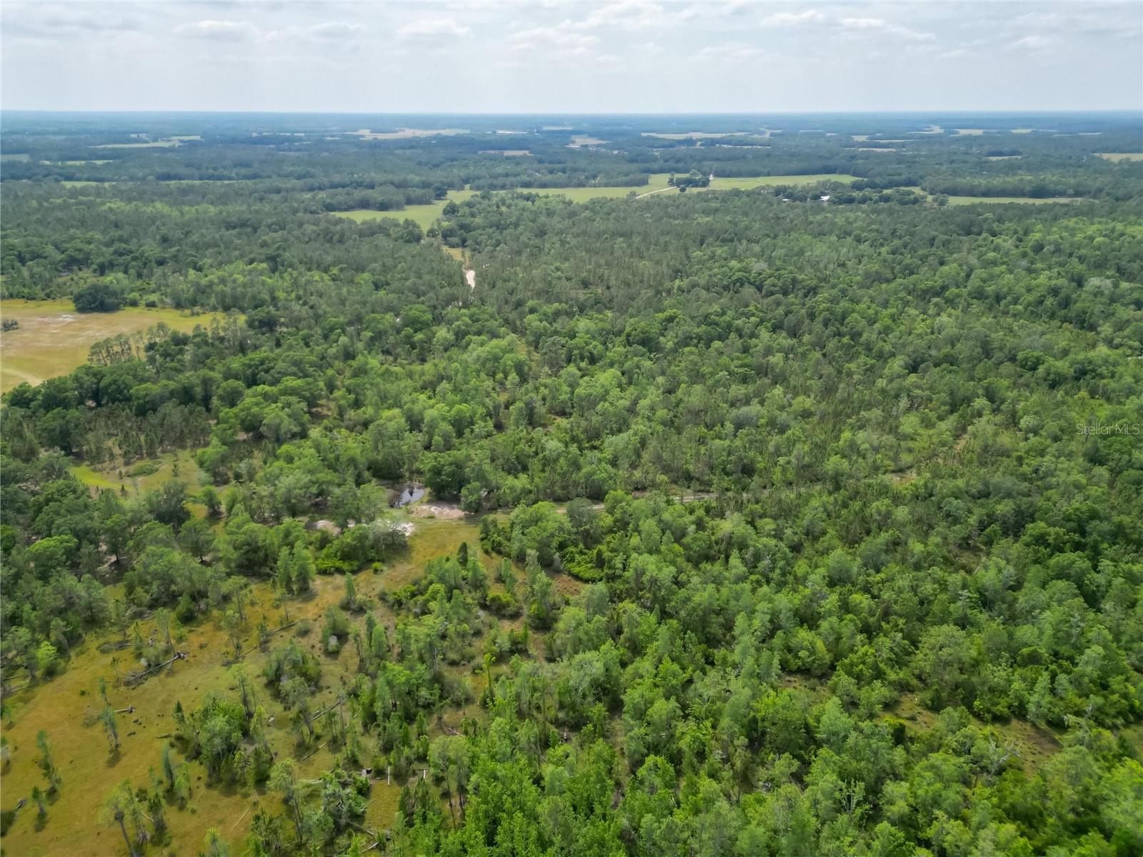 VAN FLEET RD, POLK CITY, FL, 33868