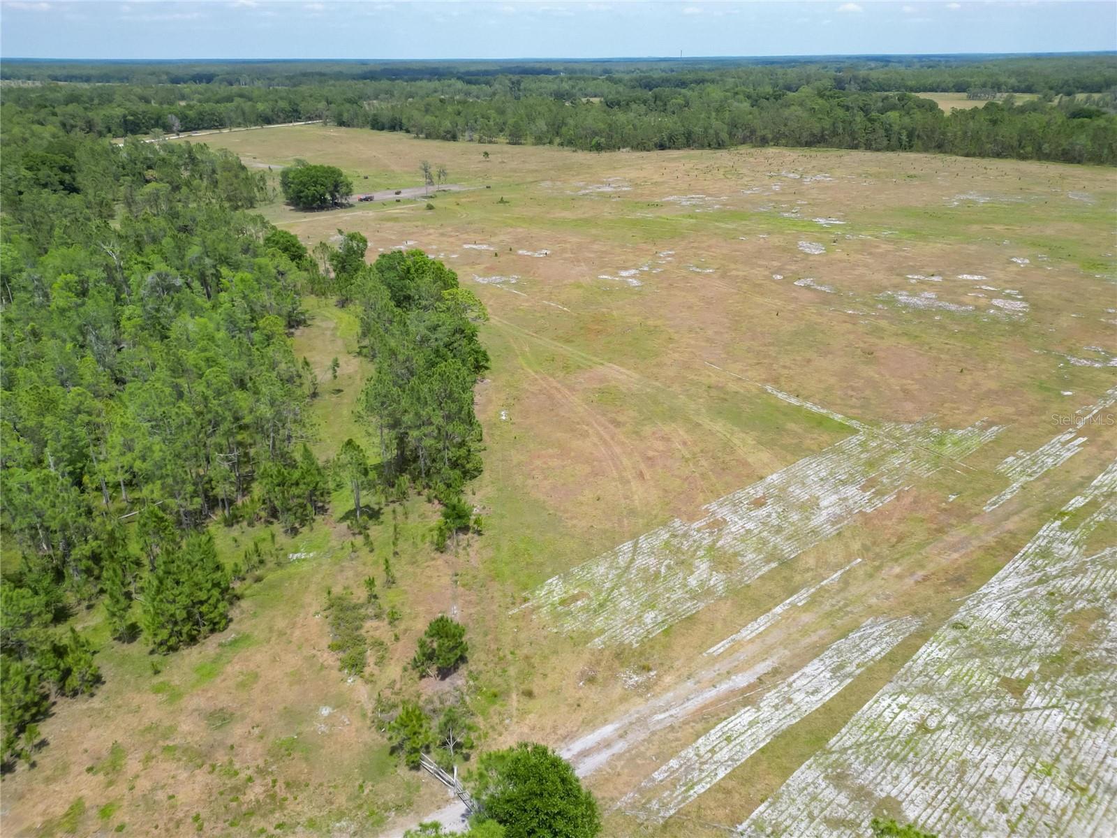 0 VAN FLEET RD, POLK CITY, FL, 33868