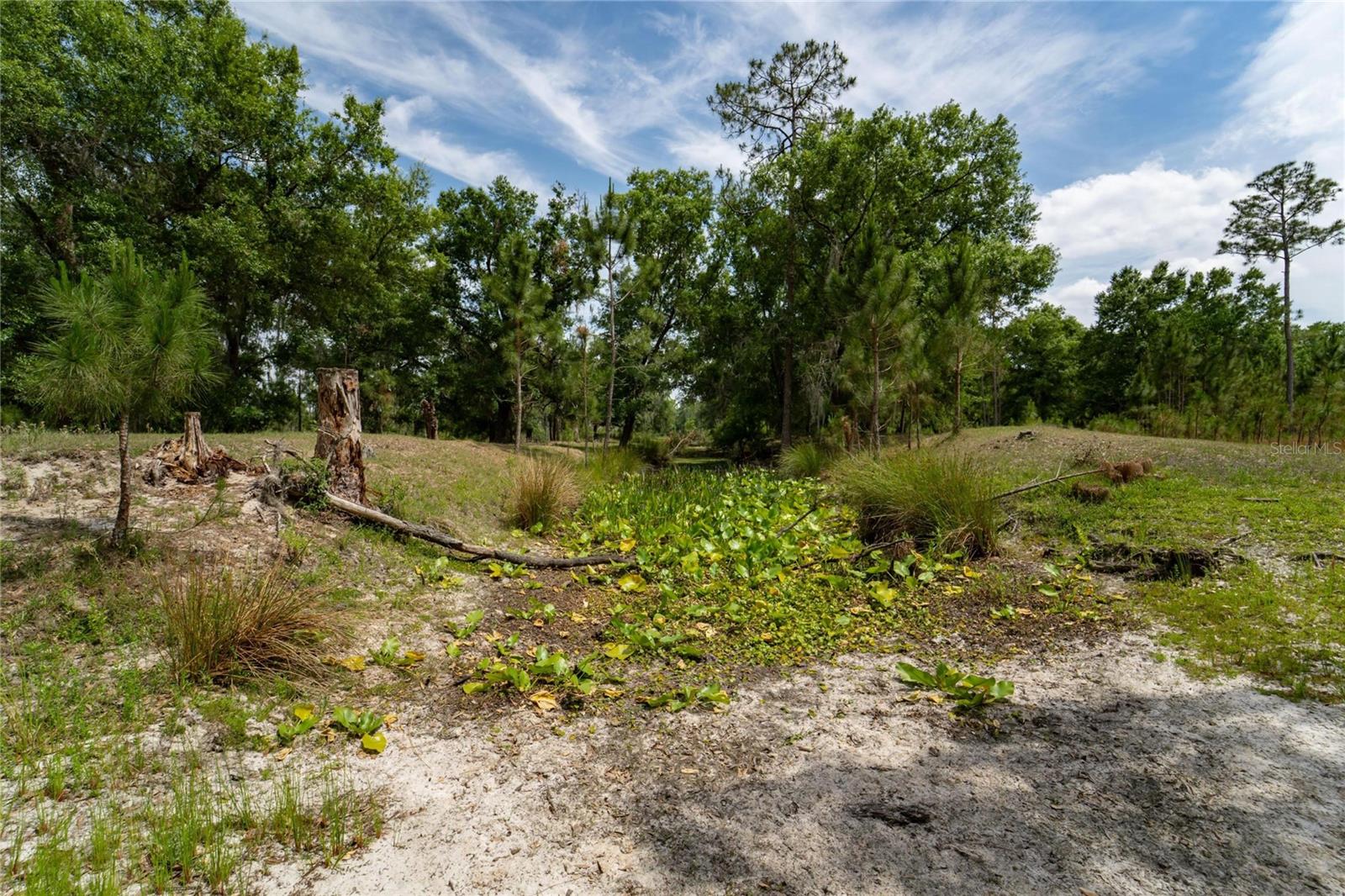 0 VAN FLEET RD, POLK CITY, FL, 33868