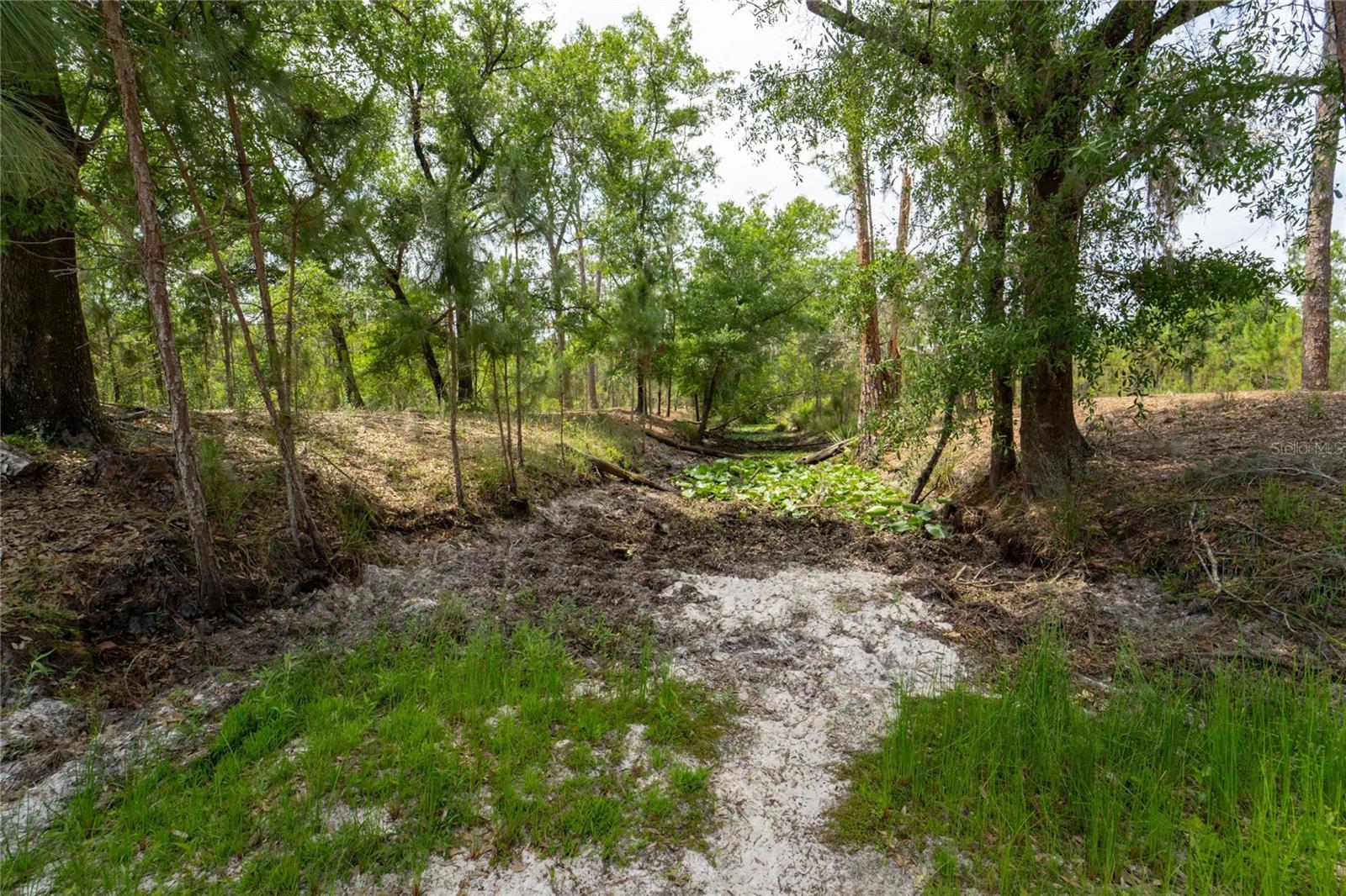 0 VAN FLEET RD, POLK CITY, FL, 33868