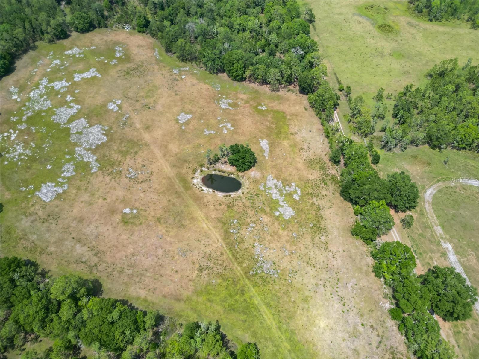 0 VAN FLEET RD, POLK CITY, FL, 33868