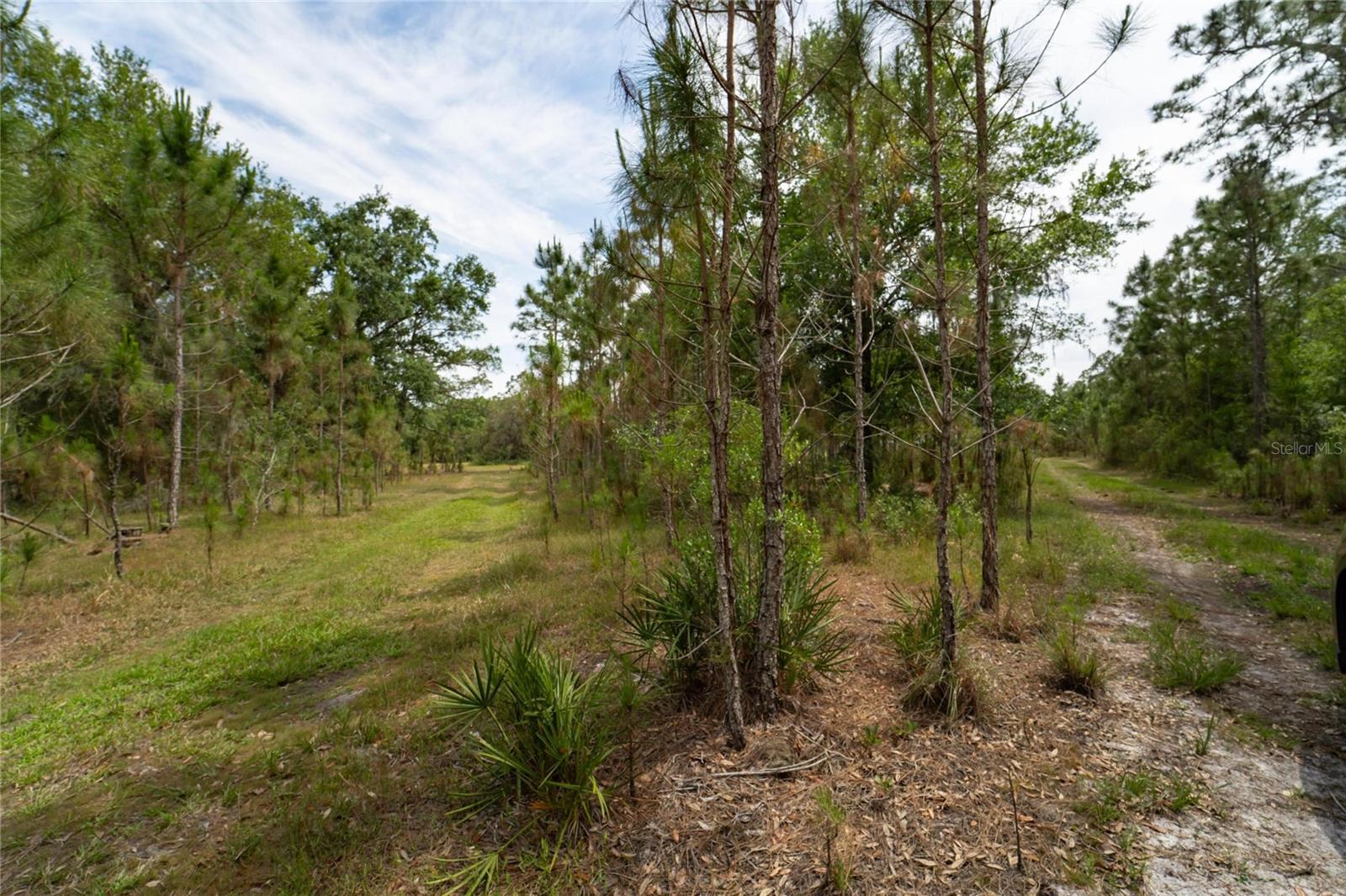 0 VAN FLEET RD, POLK CITY, FL, 33868