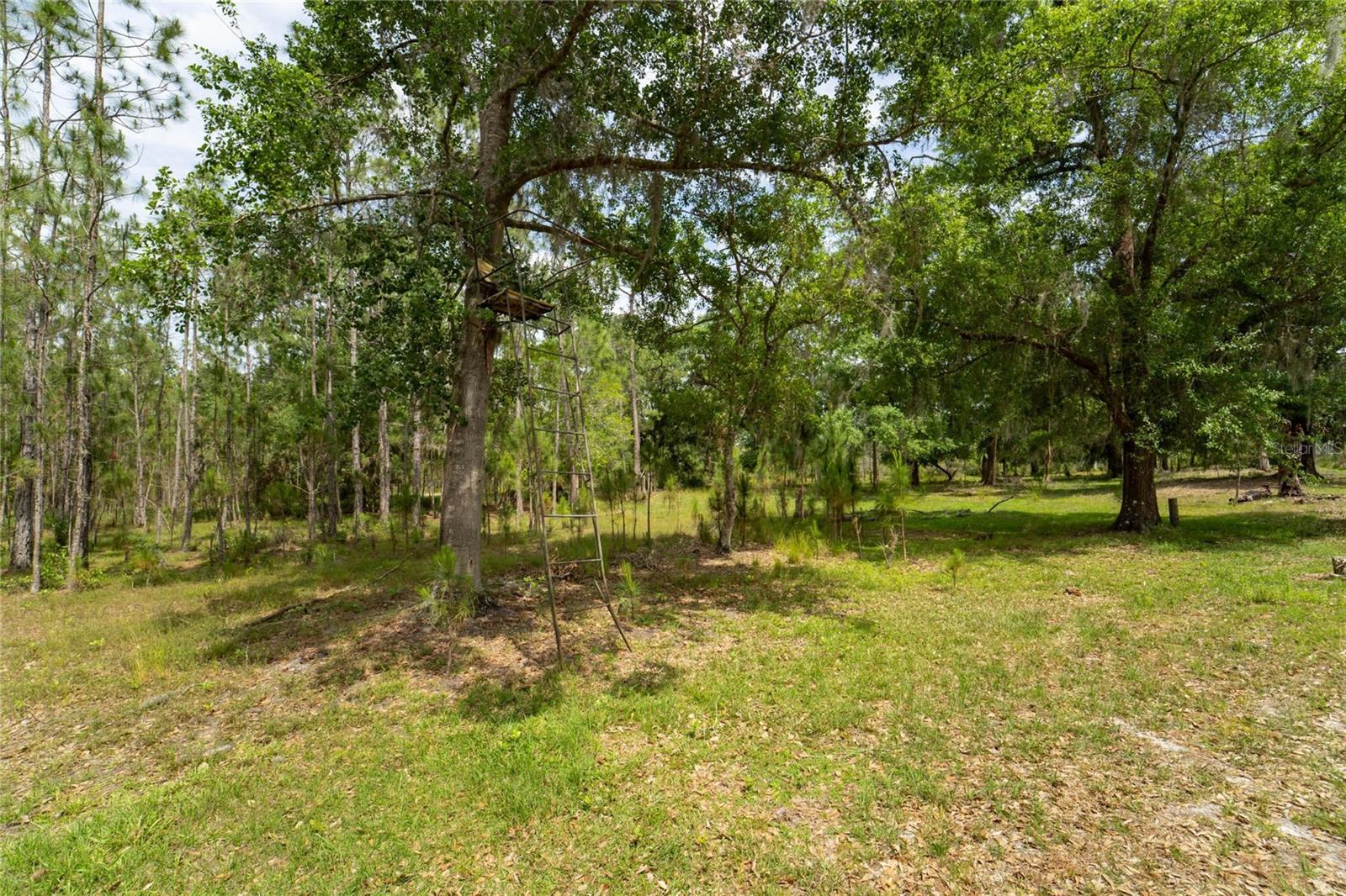 0 VAN FLEET RD, POLK CITY, FL, 33868