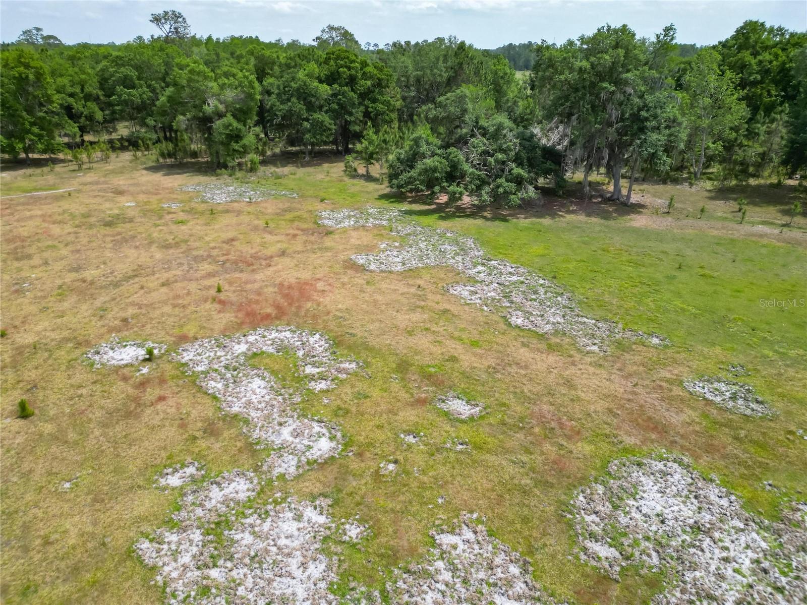 0 VAN FLEET RD, POLK CITY, FL, 33868