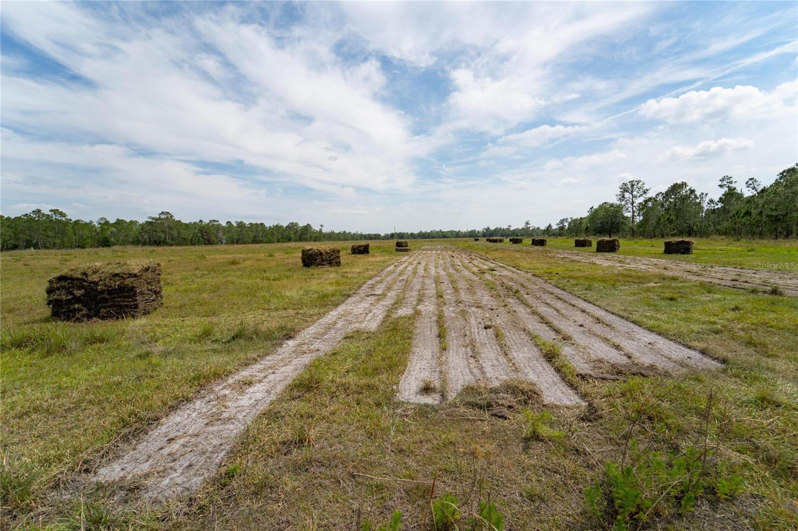 0 VAN FLEET RD, POLK CITY, FL, 33868