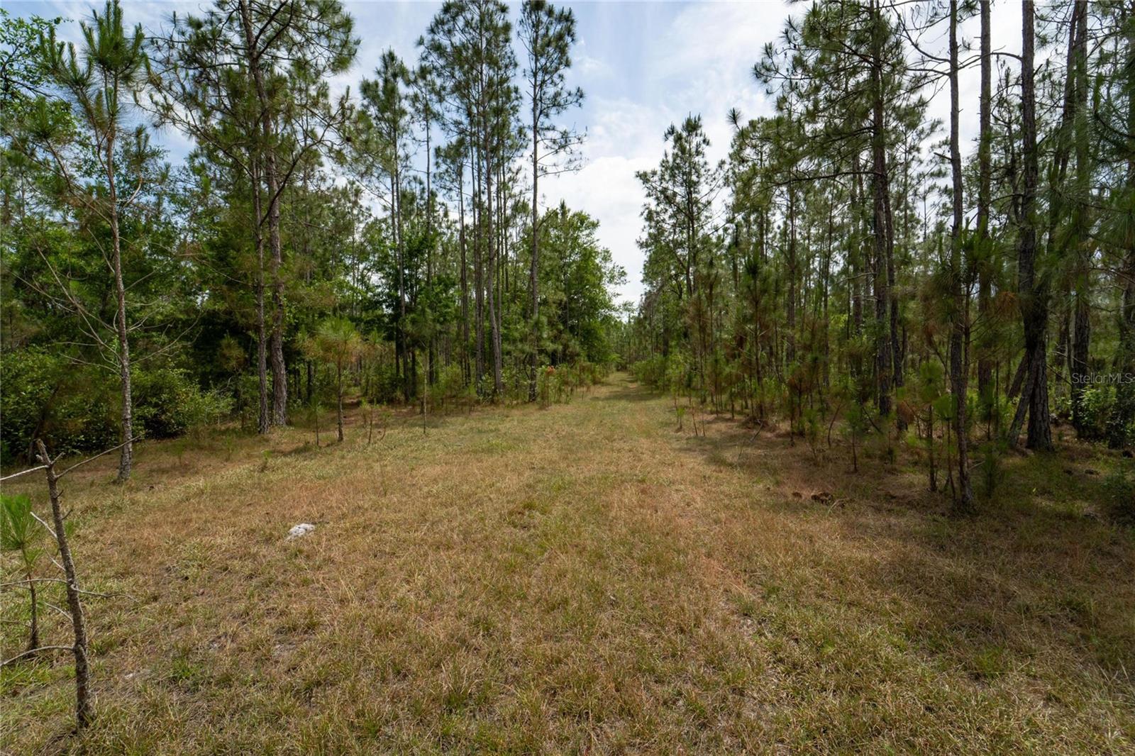 0 VAN FLEET RD, POLK CITY, FL, 33868