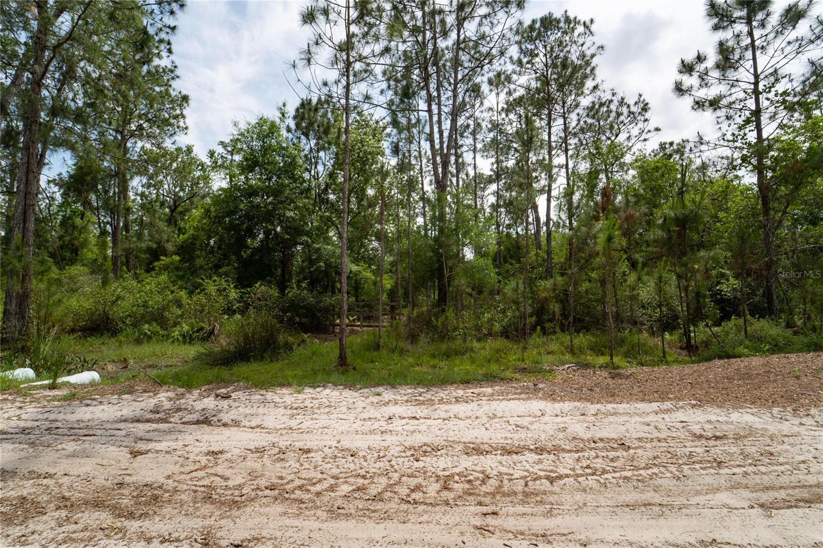 0 VAN FLEET RD, POLK CITY, FL, 33868