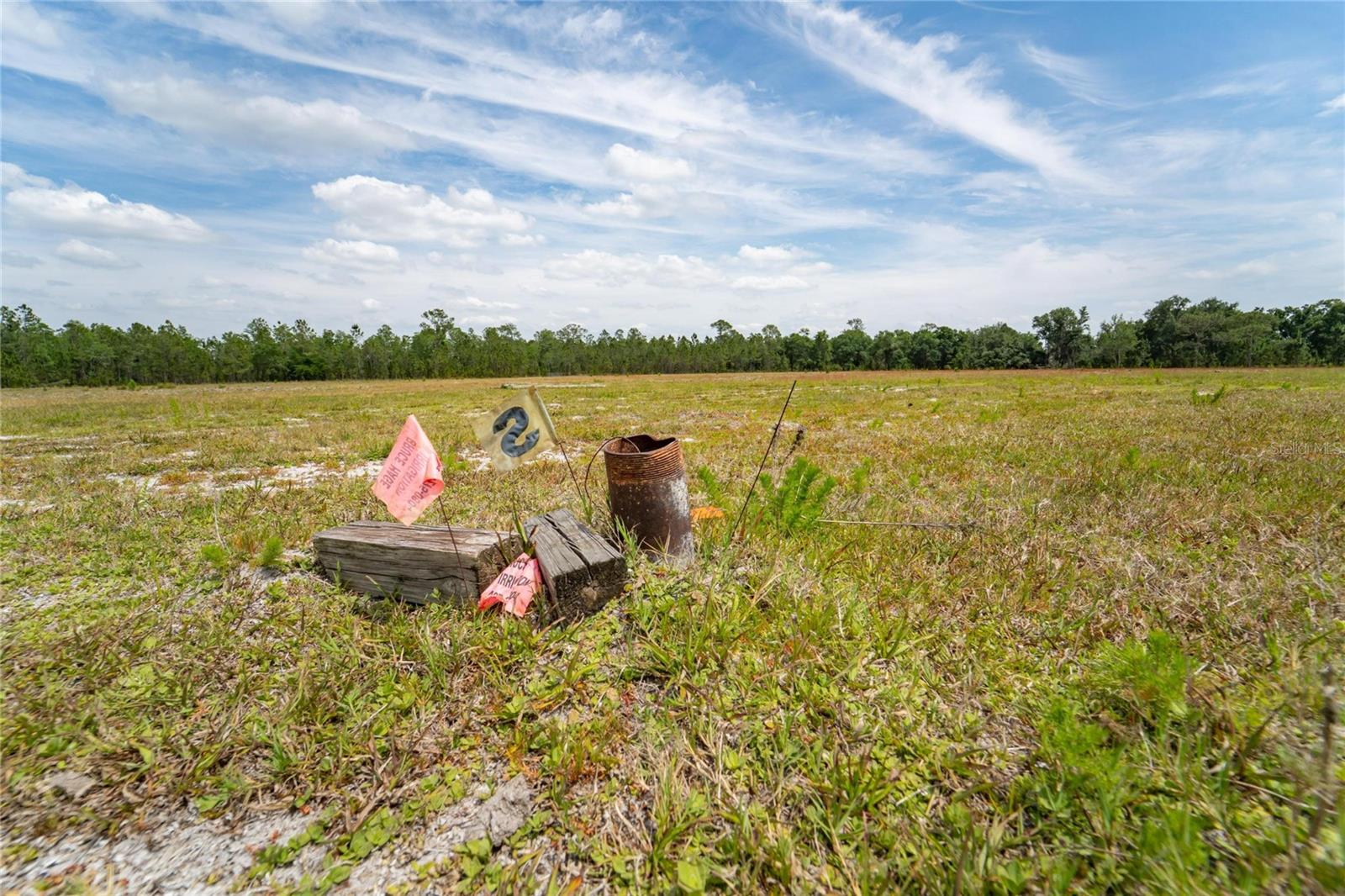 0 VAN FLEET RD, POLK CITY, FL, 33868