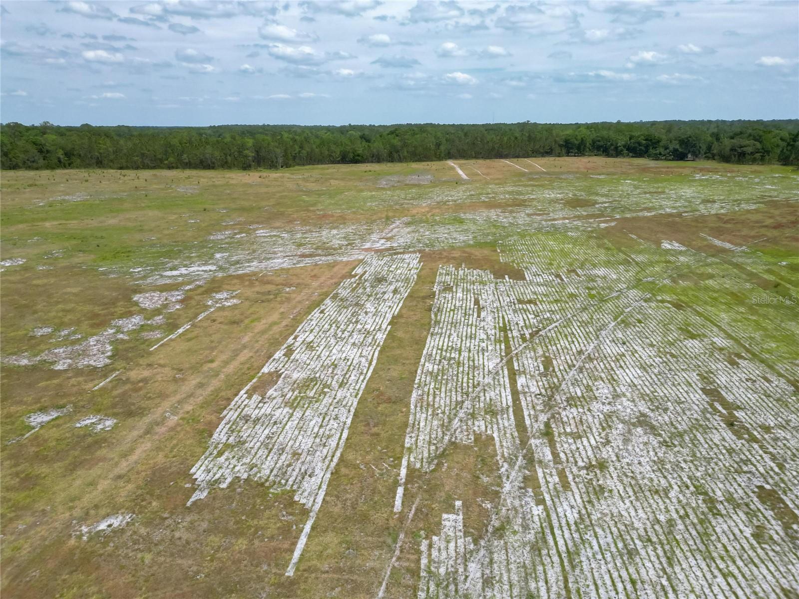 0 VAN FLEET RD, POLK CITY, FL, 33868