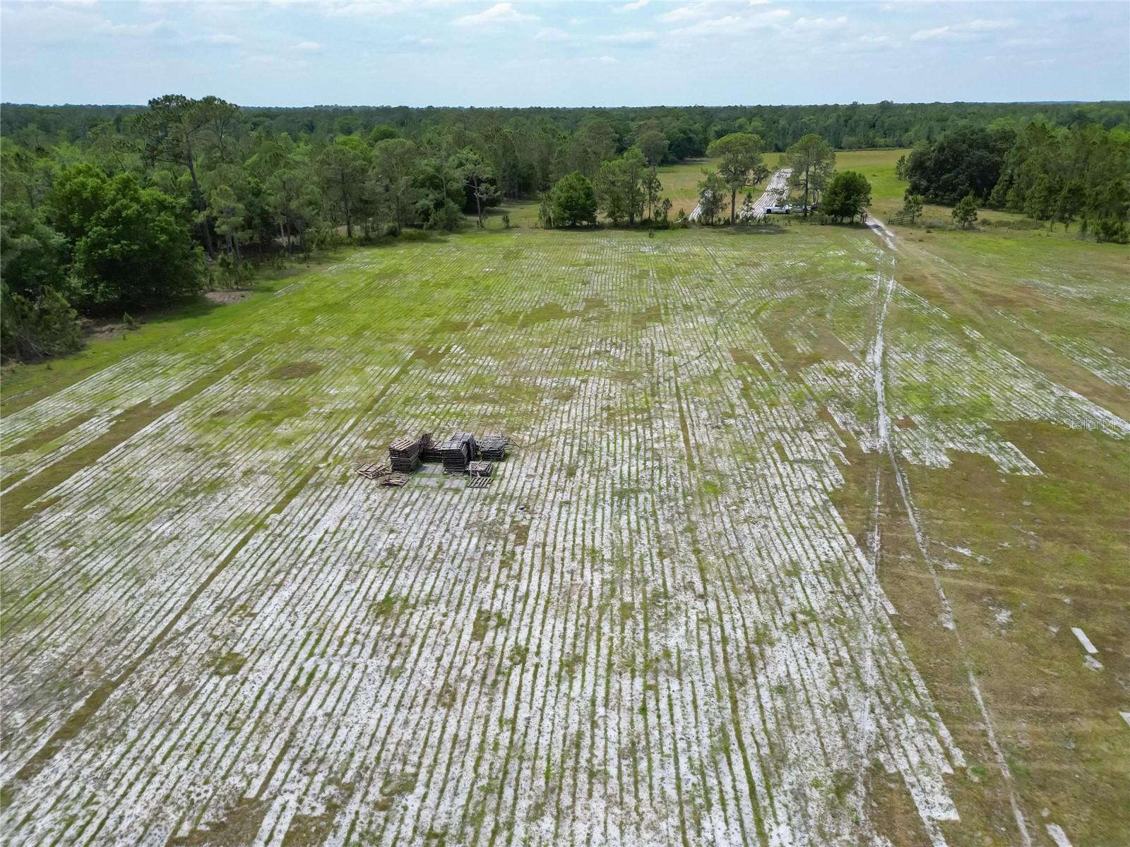 0 VAN FLEET RD, POLK CITY, FL, 33868