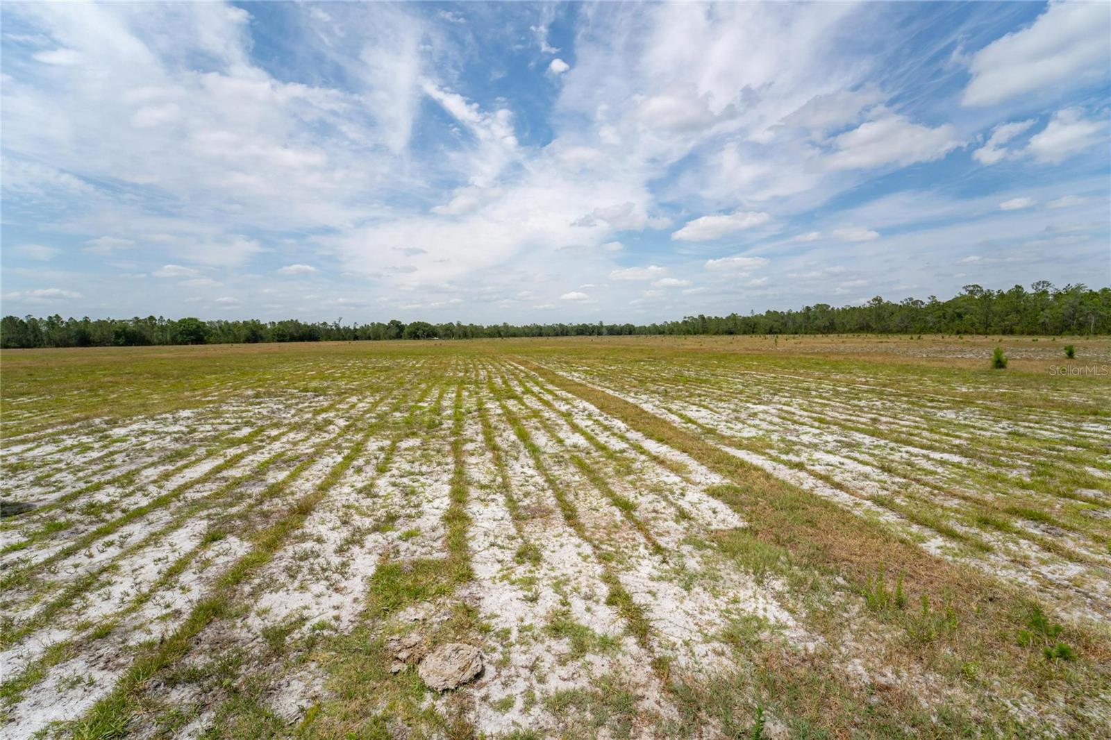 0 VAN FLEET RD, POLK CITY, FL, 33868