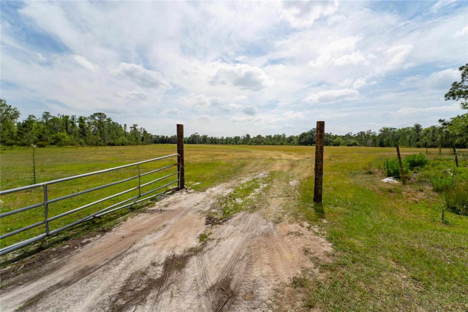 0 VAN FLEET RD, POLK CITY, FL, 33868