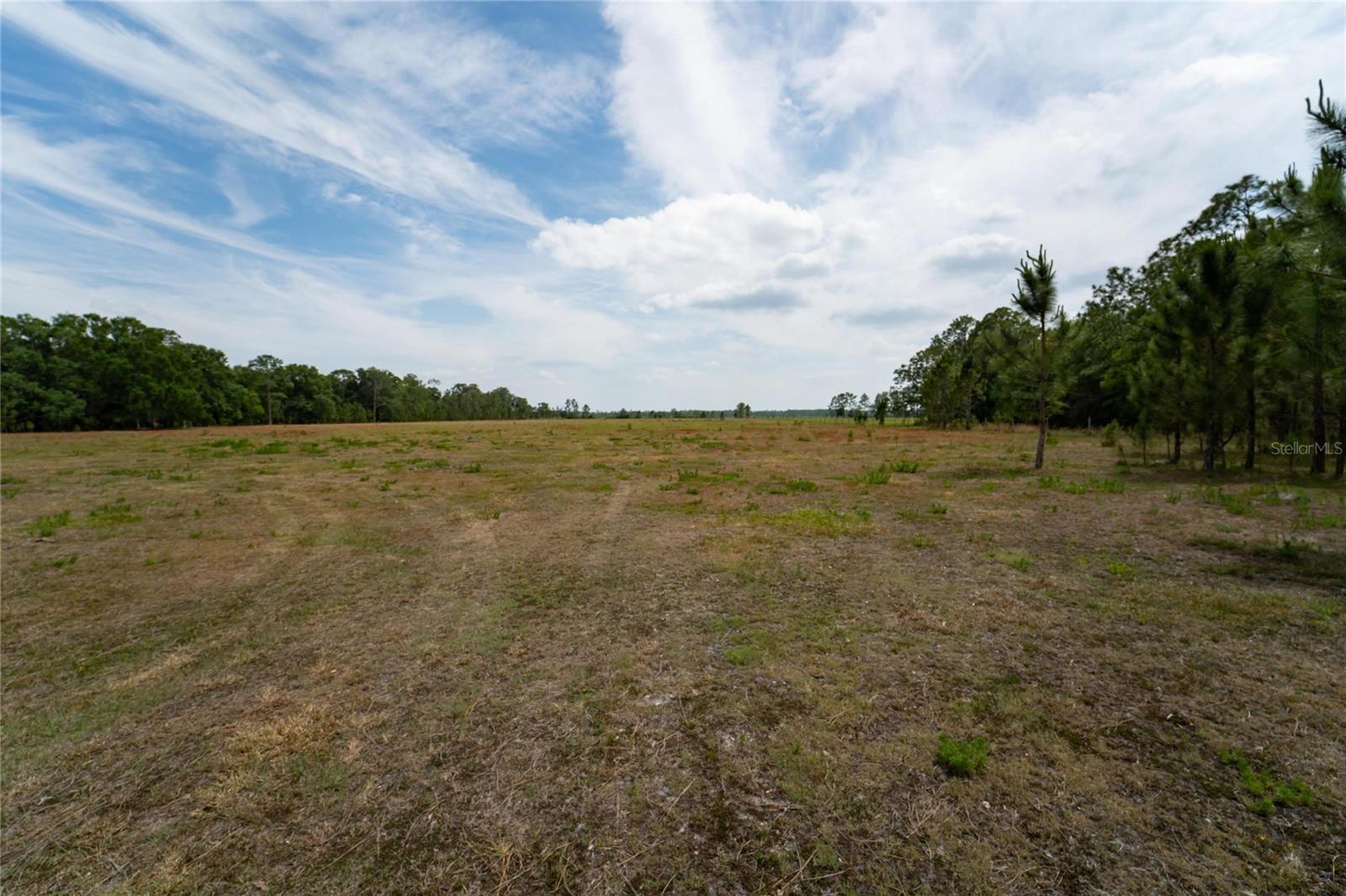 0 VAN FLEET RD, POLK CITY, FL, 33868