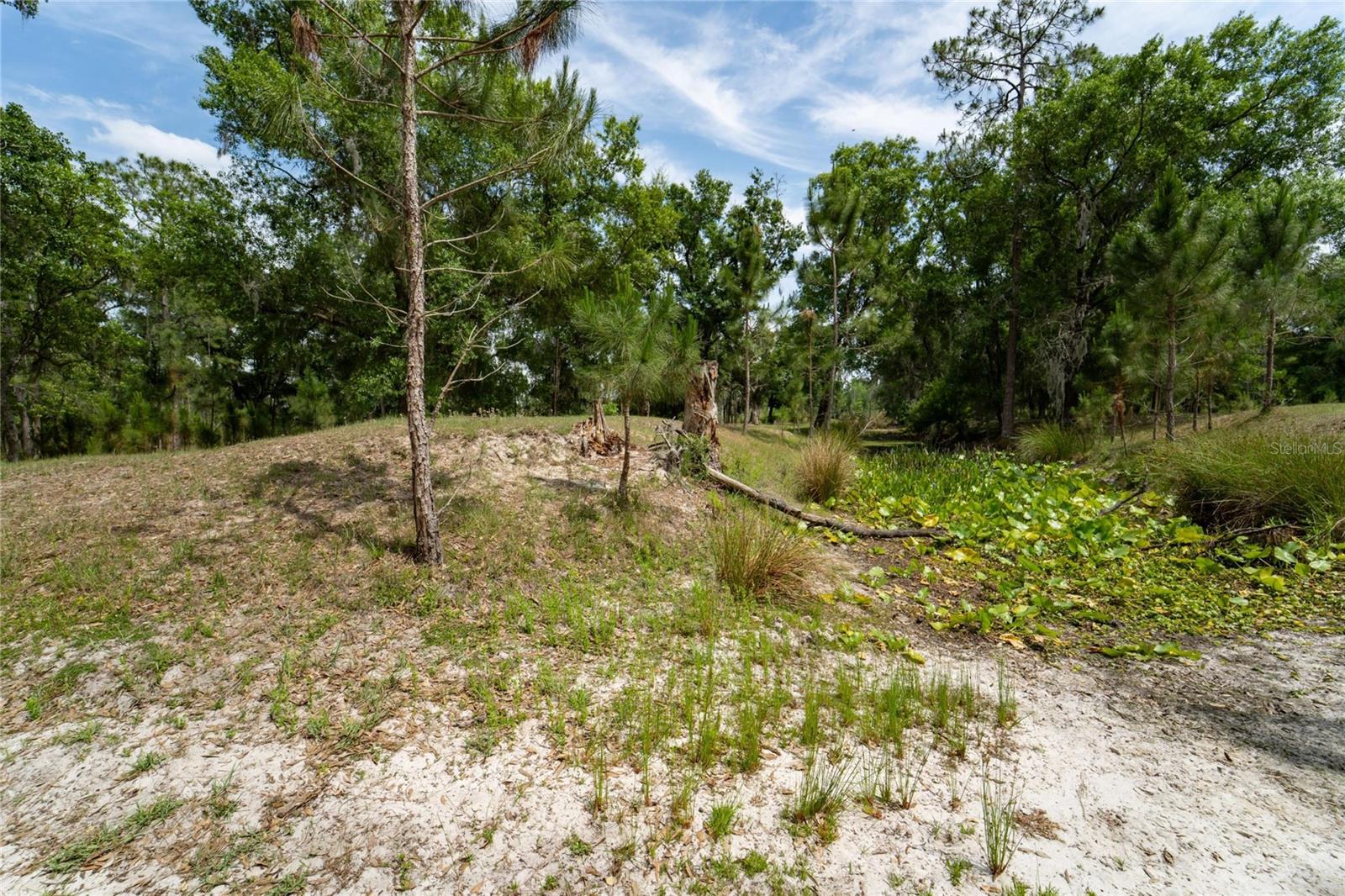 0 VAN FLEET RD, POLK CITY, FL, 33868