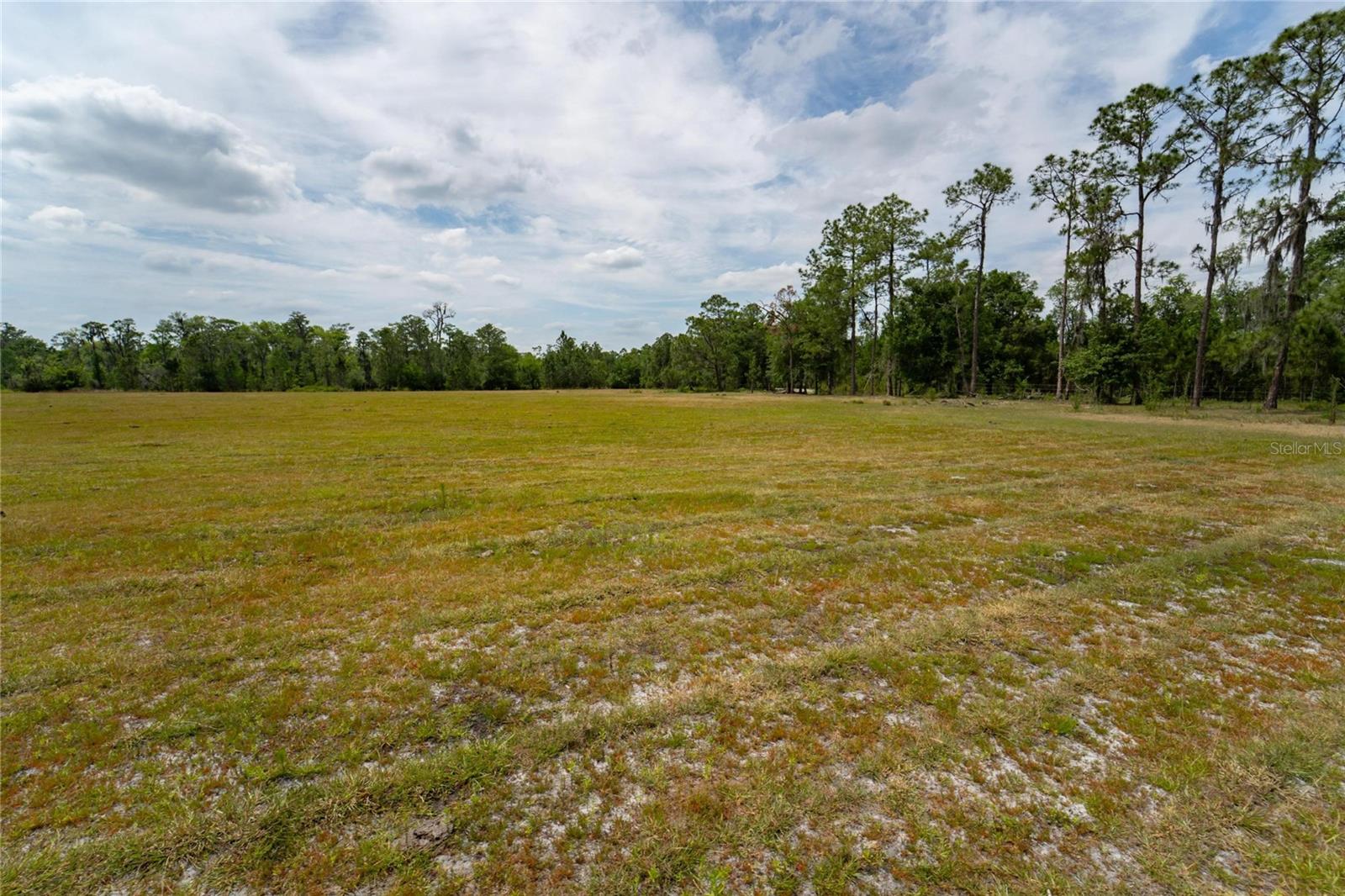 0 VAN FLEET RD, POLK CITY, FL, 33868