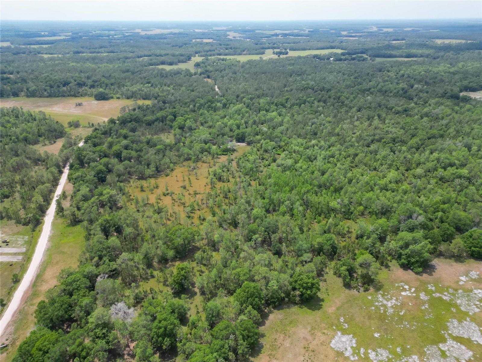 0 VAN FLEET RD, POLK CITY, FL, 33868