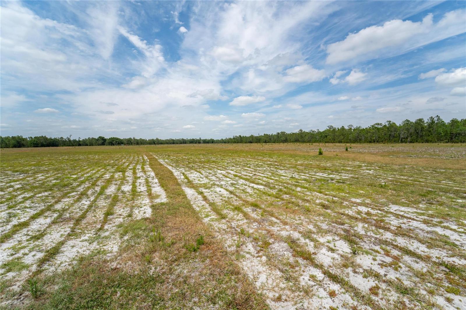 0 VAN FLEET RD, POLK CITY, FL, 33868