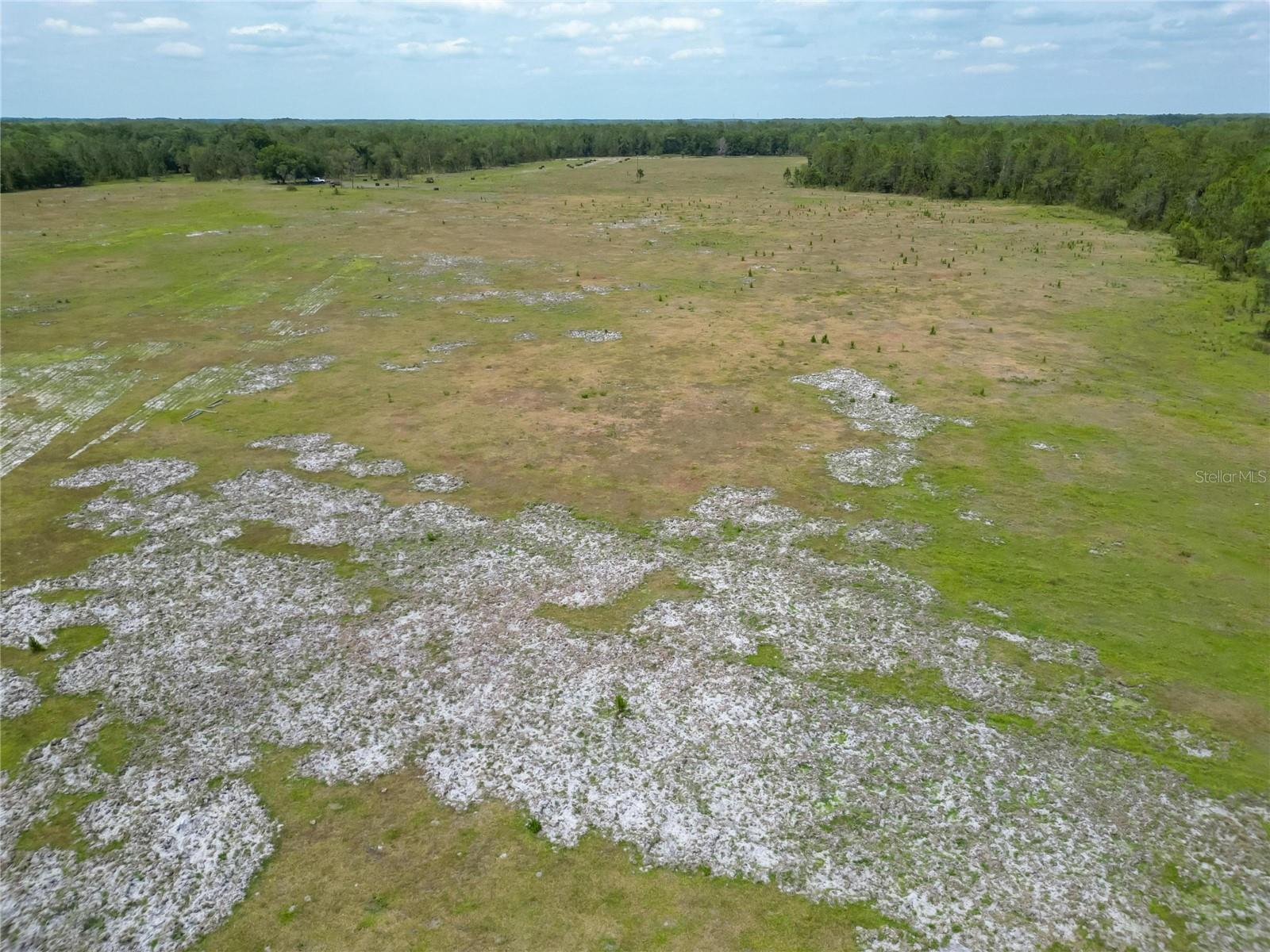 0 VAN FLEET RD, POLK CITY, FL, 33868