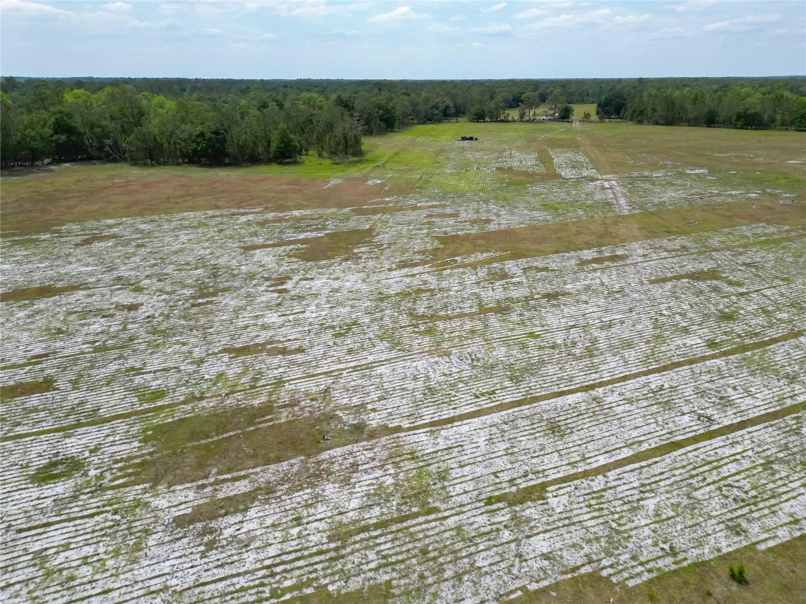 0 VAN FLEET RD, POLK CITY, FL, 33868