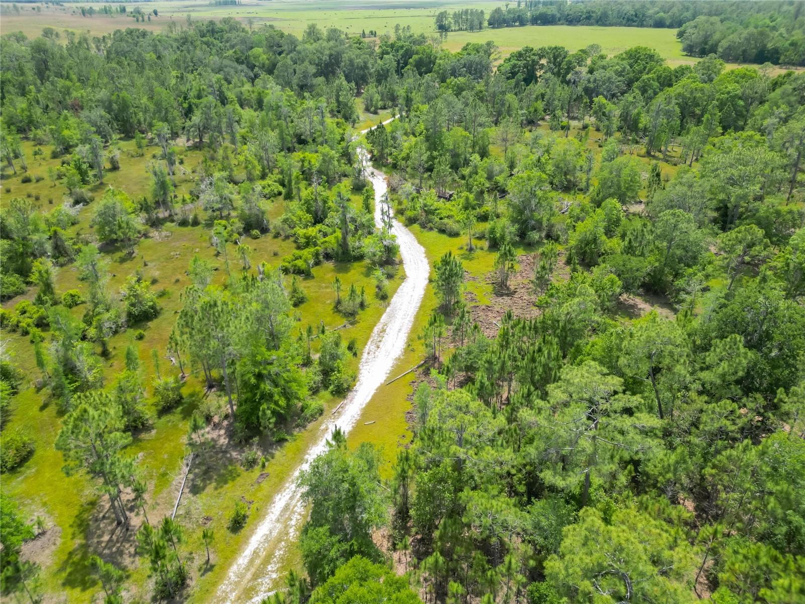 0 VAN FLEET RD, POLK CITY, FL, 33868