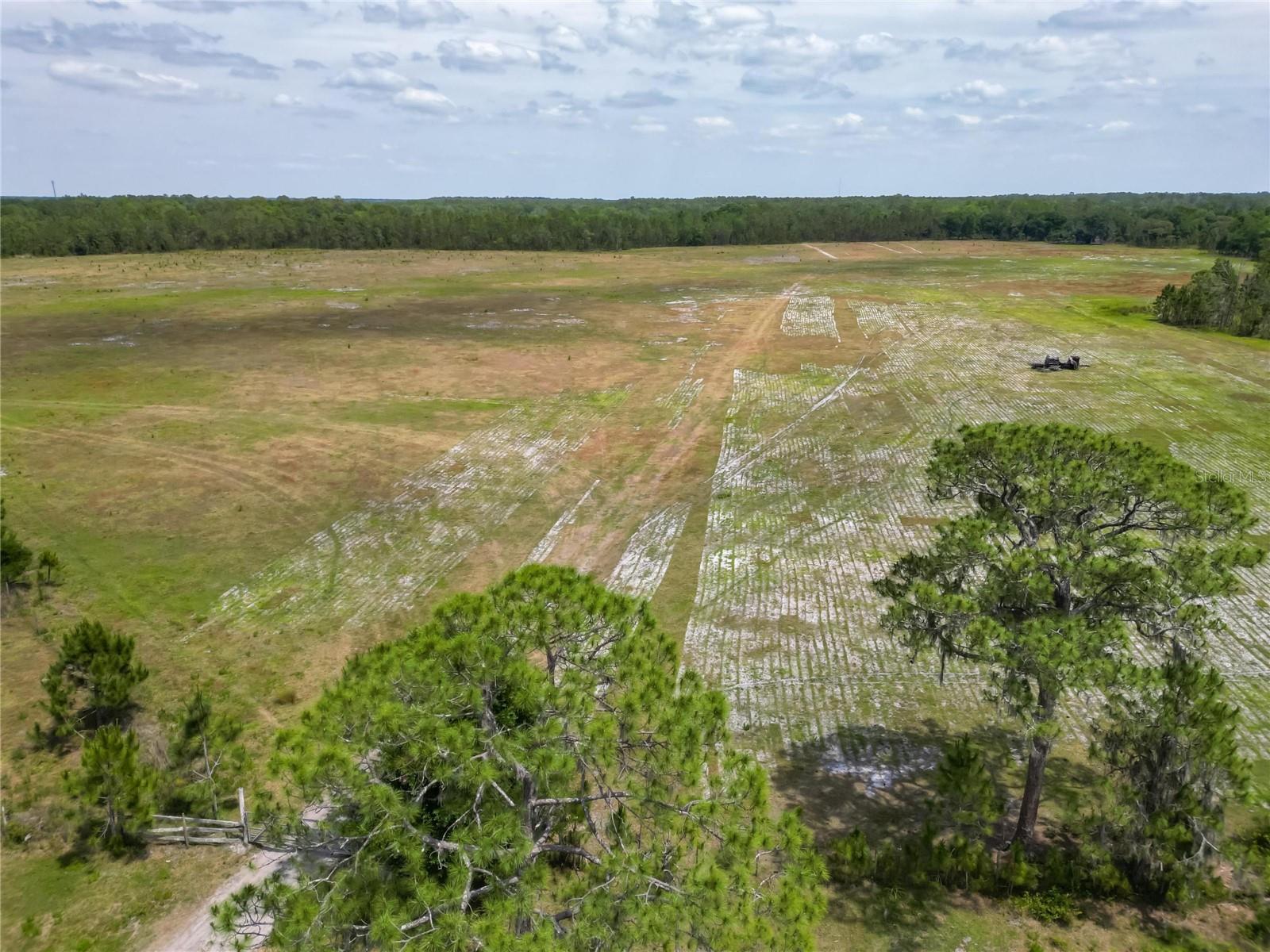 0 VAN FLEET RD, POLK CITY, FL, 33868