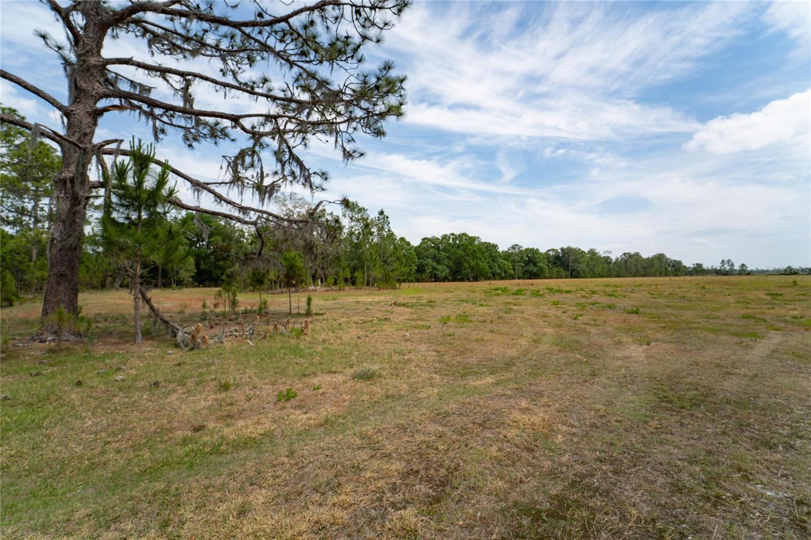 0 VAN FLEET RD, POLK CITY, FL, 33868