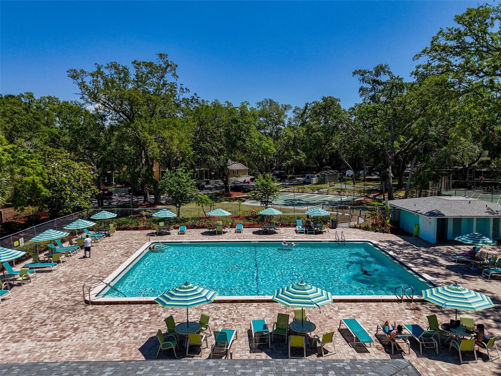 3078 POINTER DR, PALM HARBOR, FL, 34683